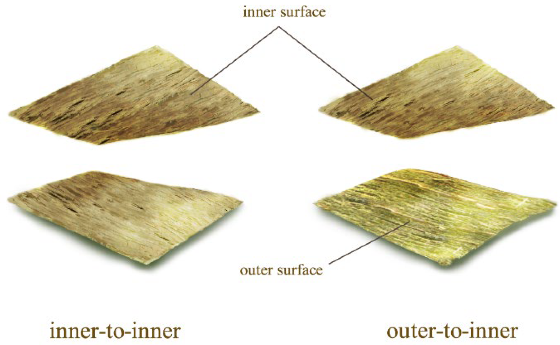 Polymers 14 01856 g006 550