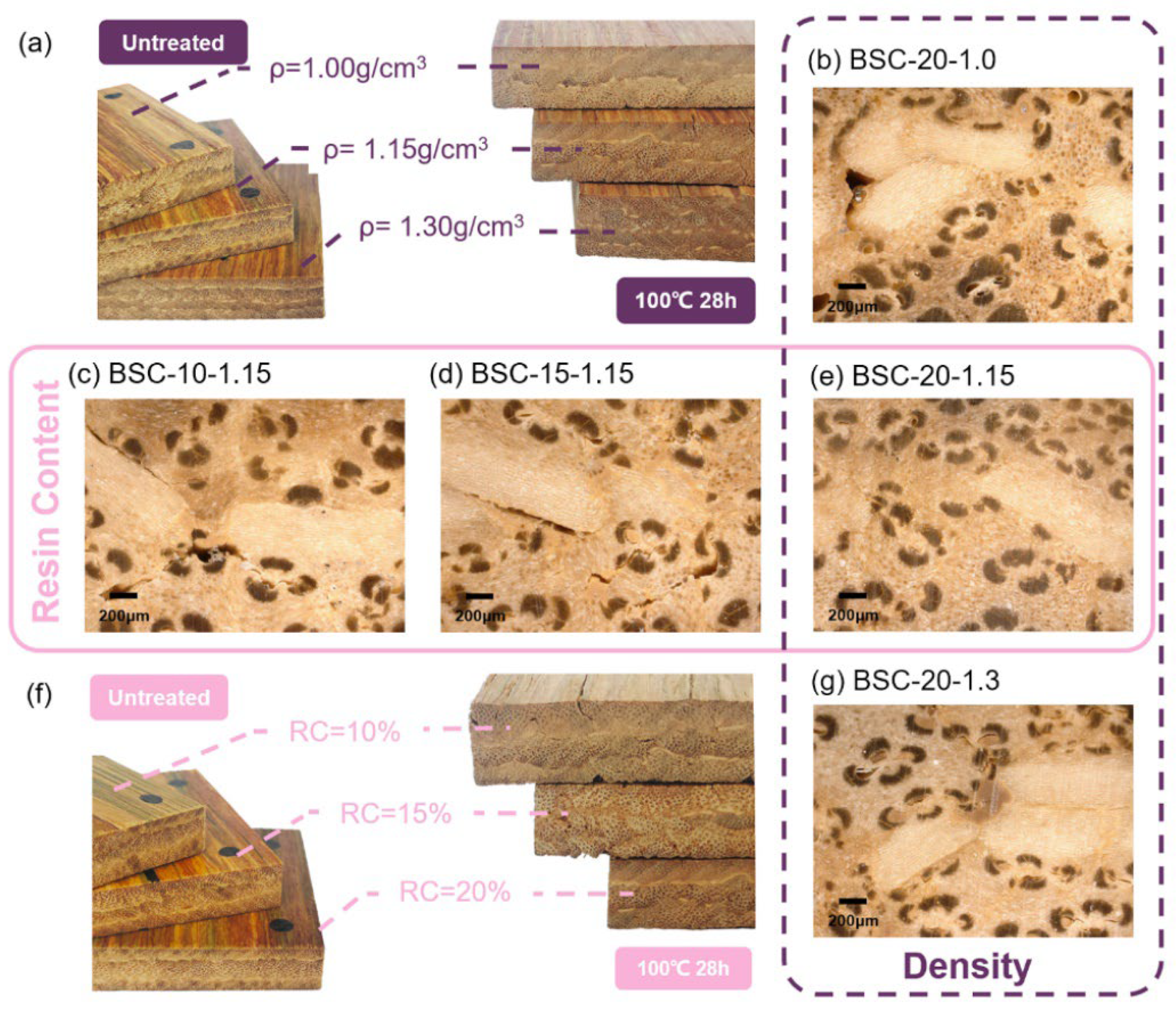 Polymers 14 01856 g008 550
