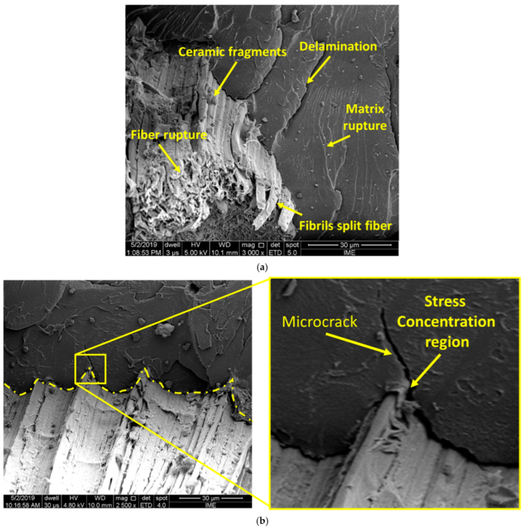 Polymers 14 01859 g007 550