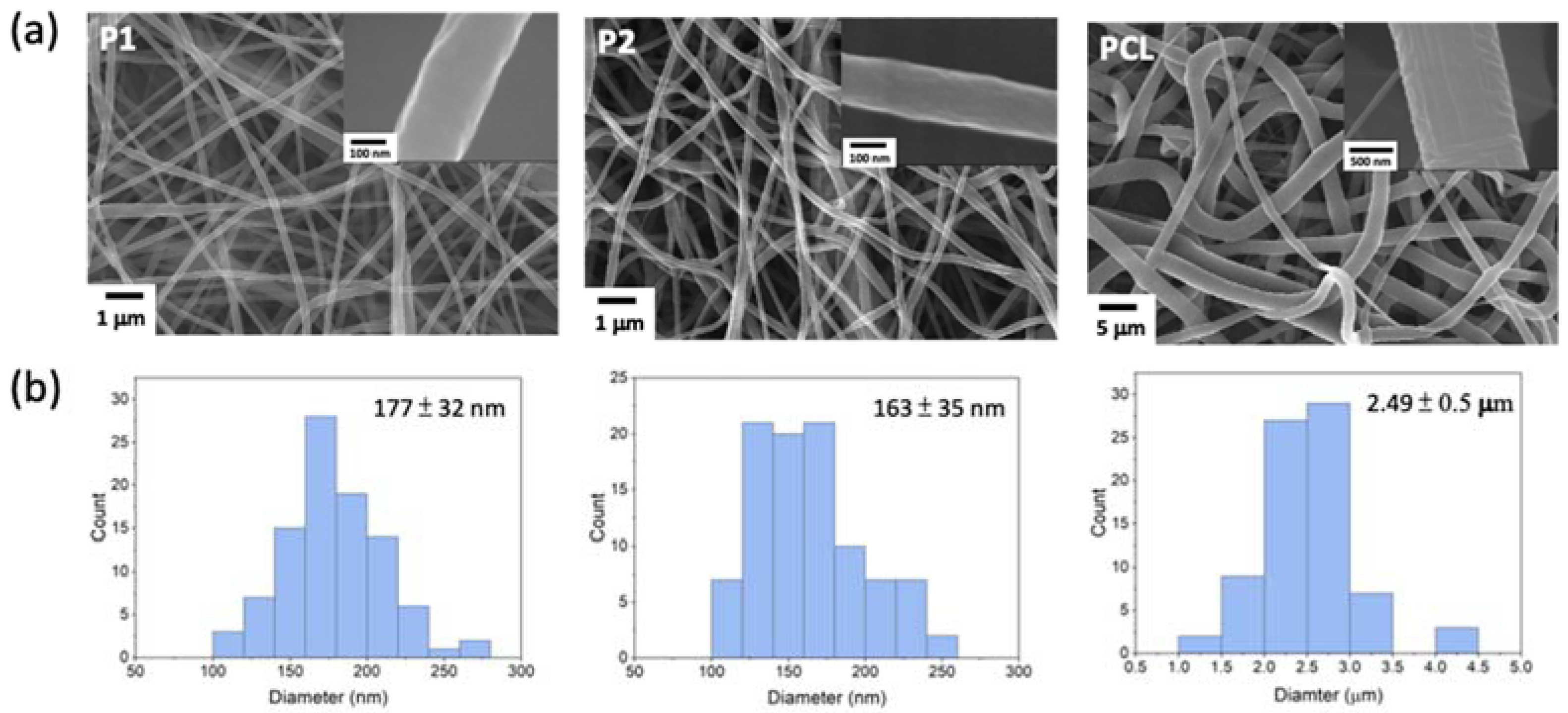 Polymers 14 01860 g001