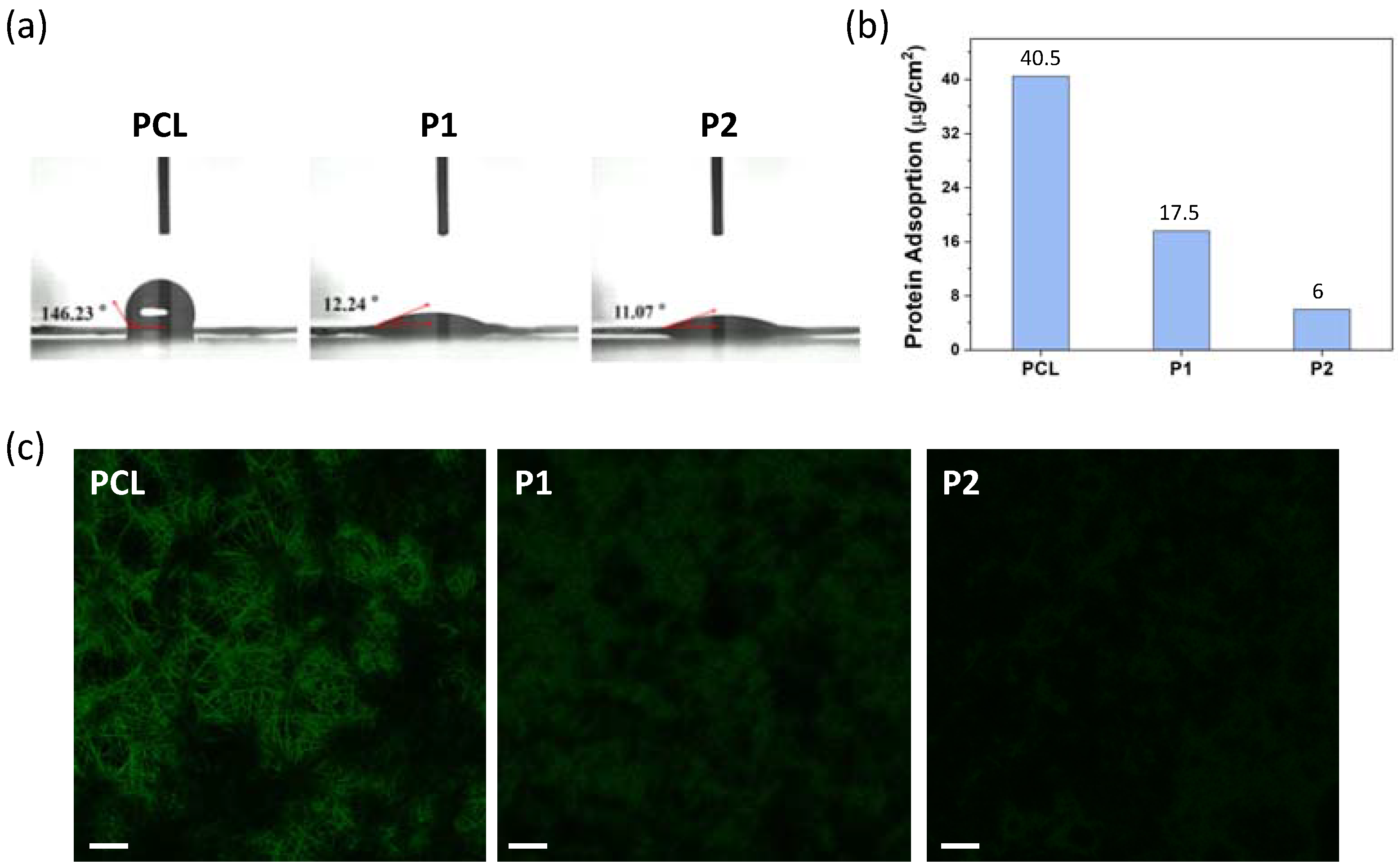Polymers 14 01860 g002