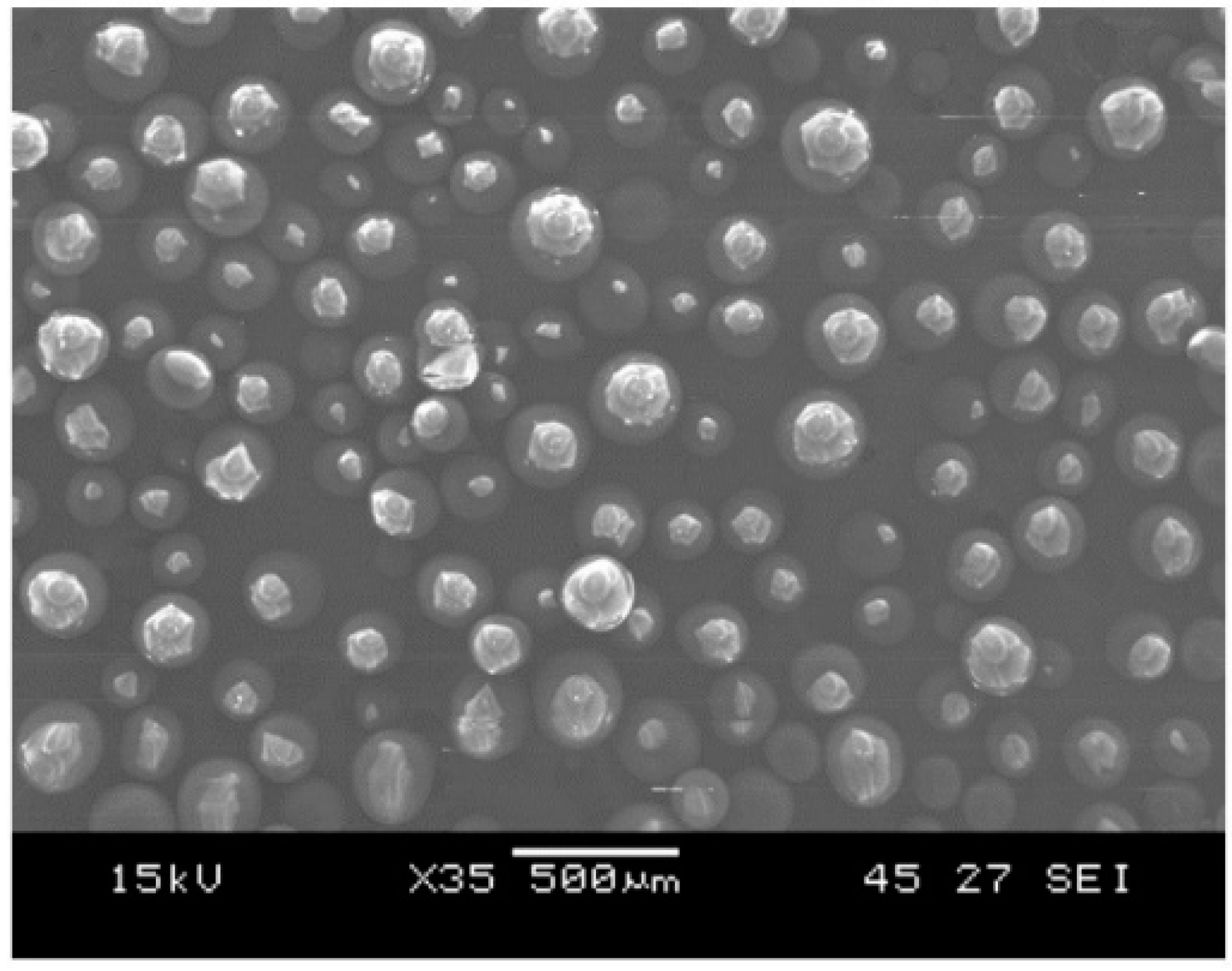 Polymers 14 01862 g001
