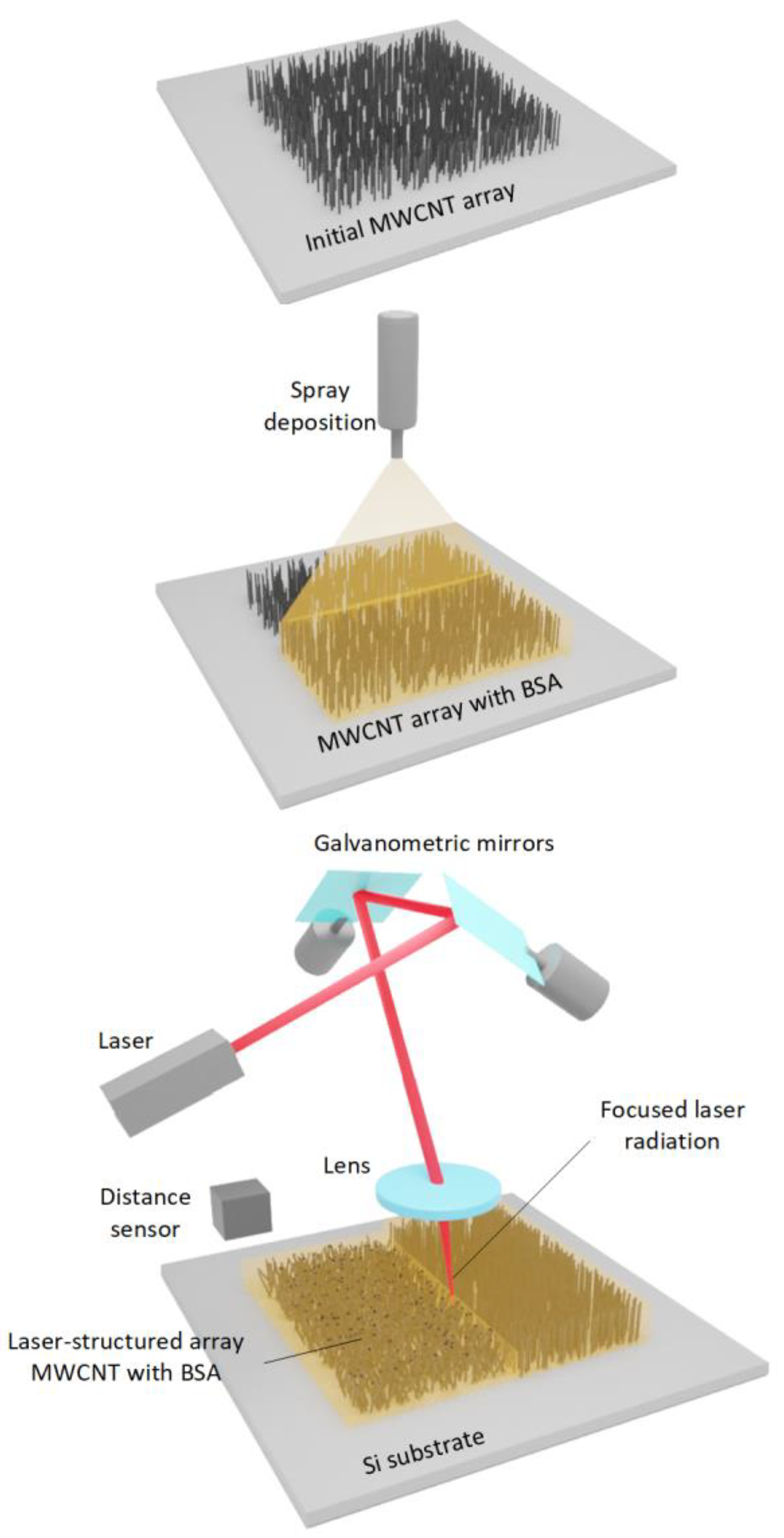 Polymers 14 01866 g001 Polymers 14 01866 g001