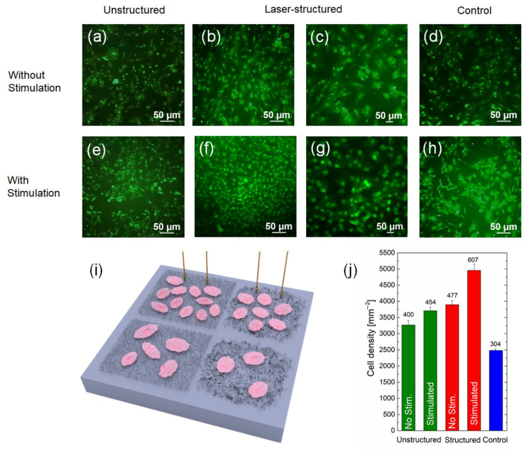 Polymers 14 01866 g007 Polymers 14 01866 g007