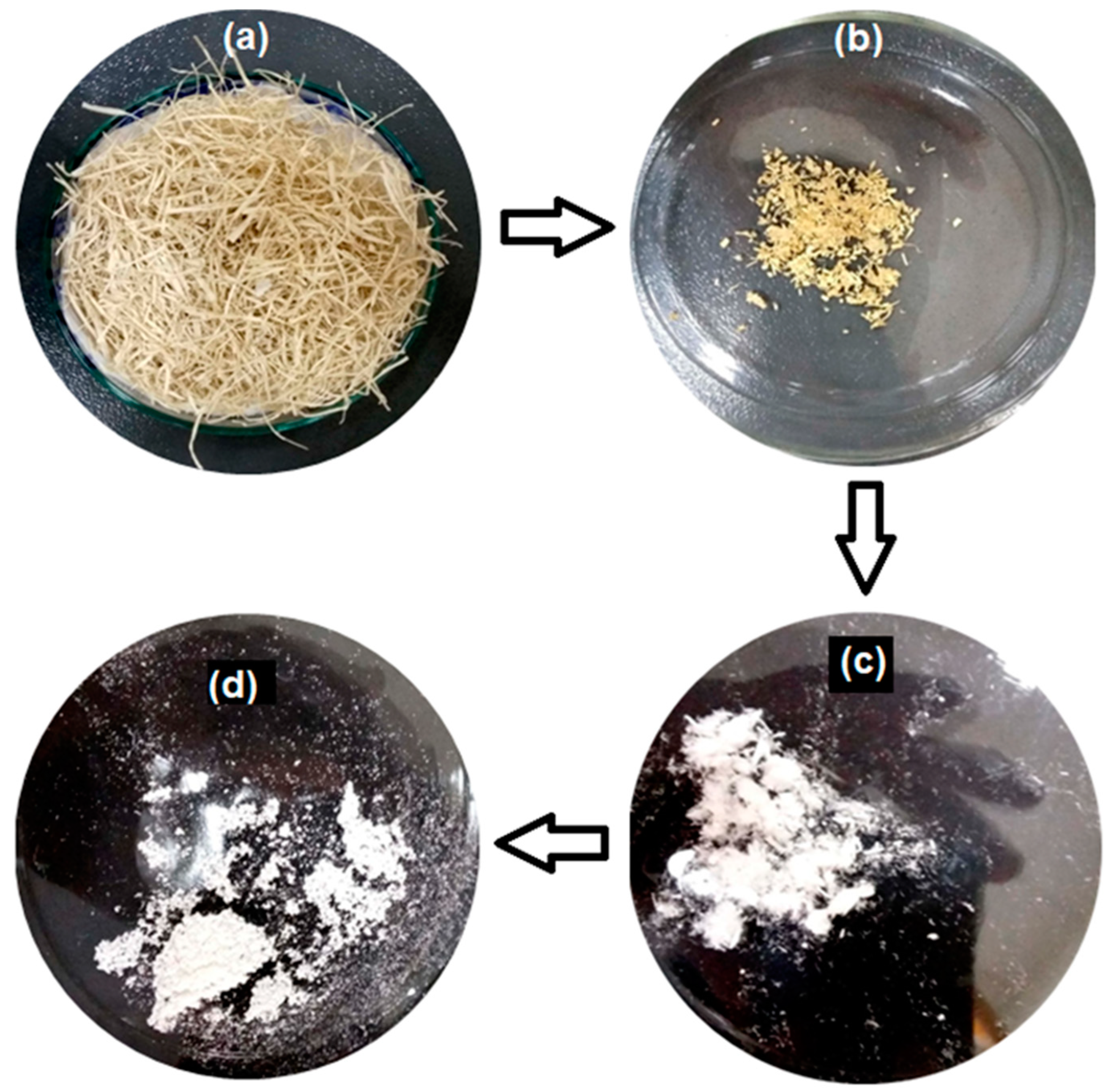 Polymers 14 01867 g001 550