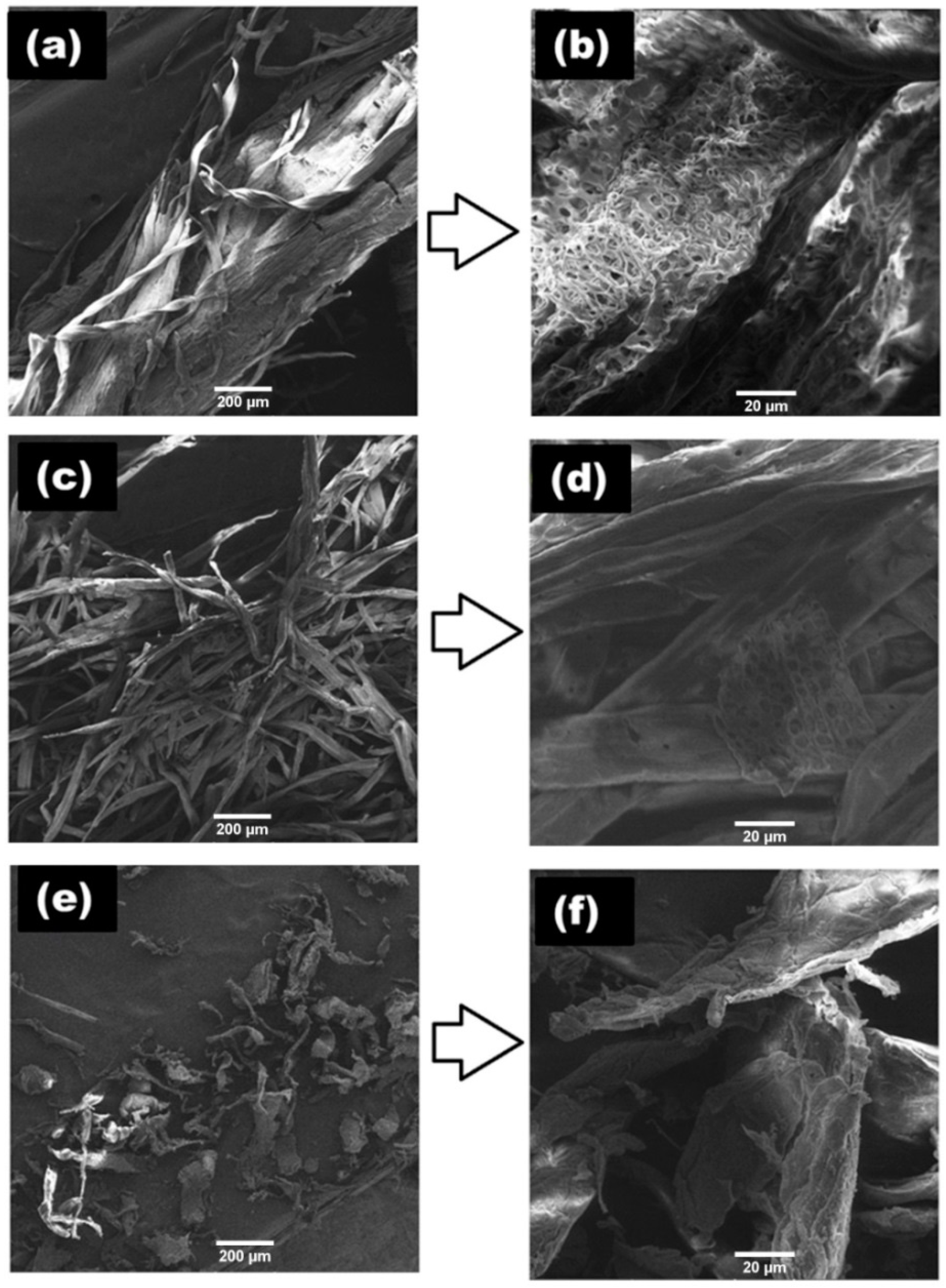 Polymers 14 01867 g004 550