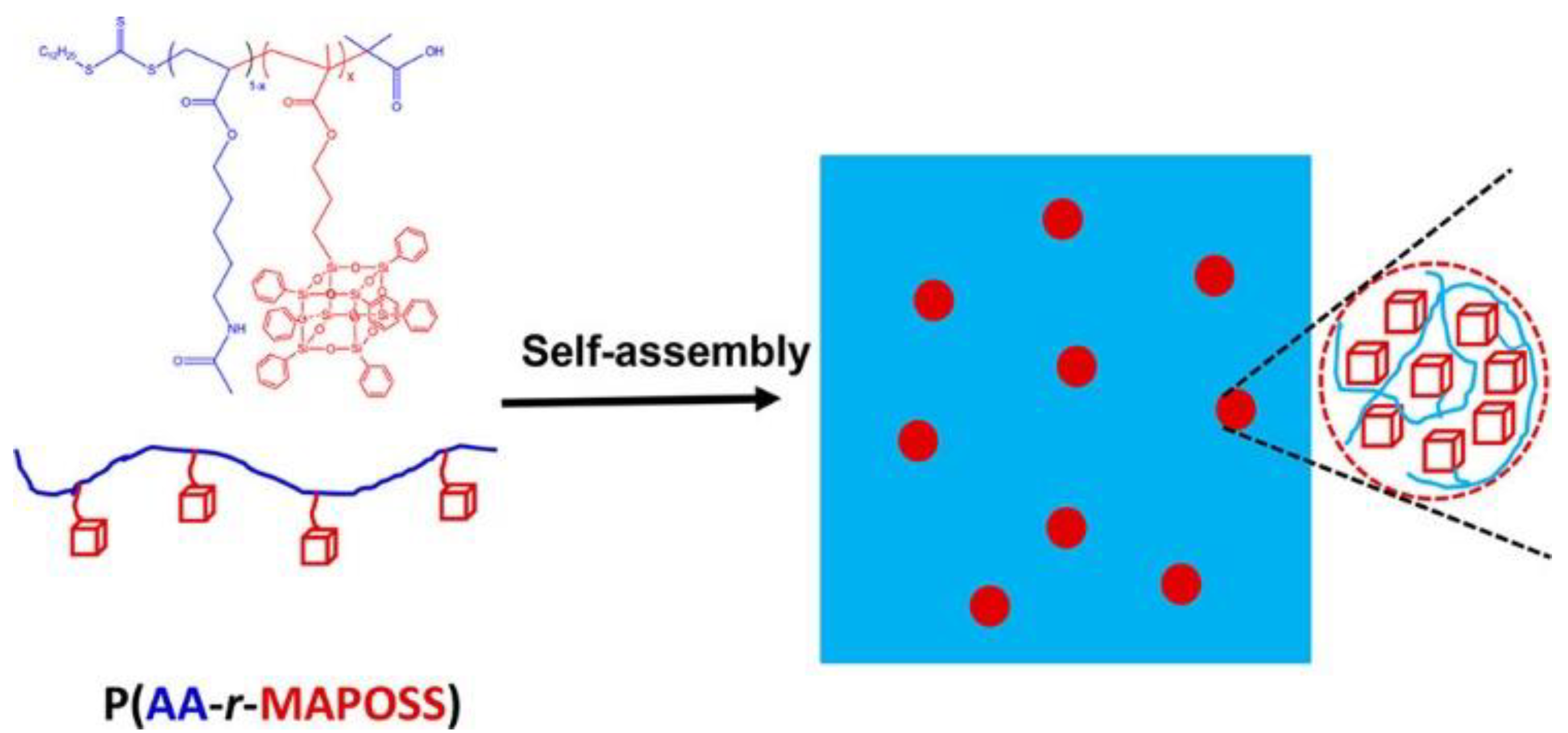 Polymers 14 01869 g001