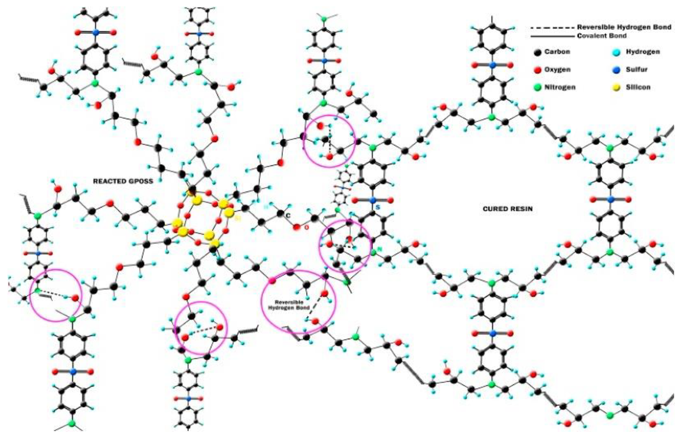 Polymers 14 01869 g002