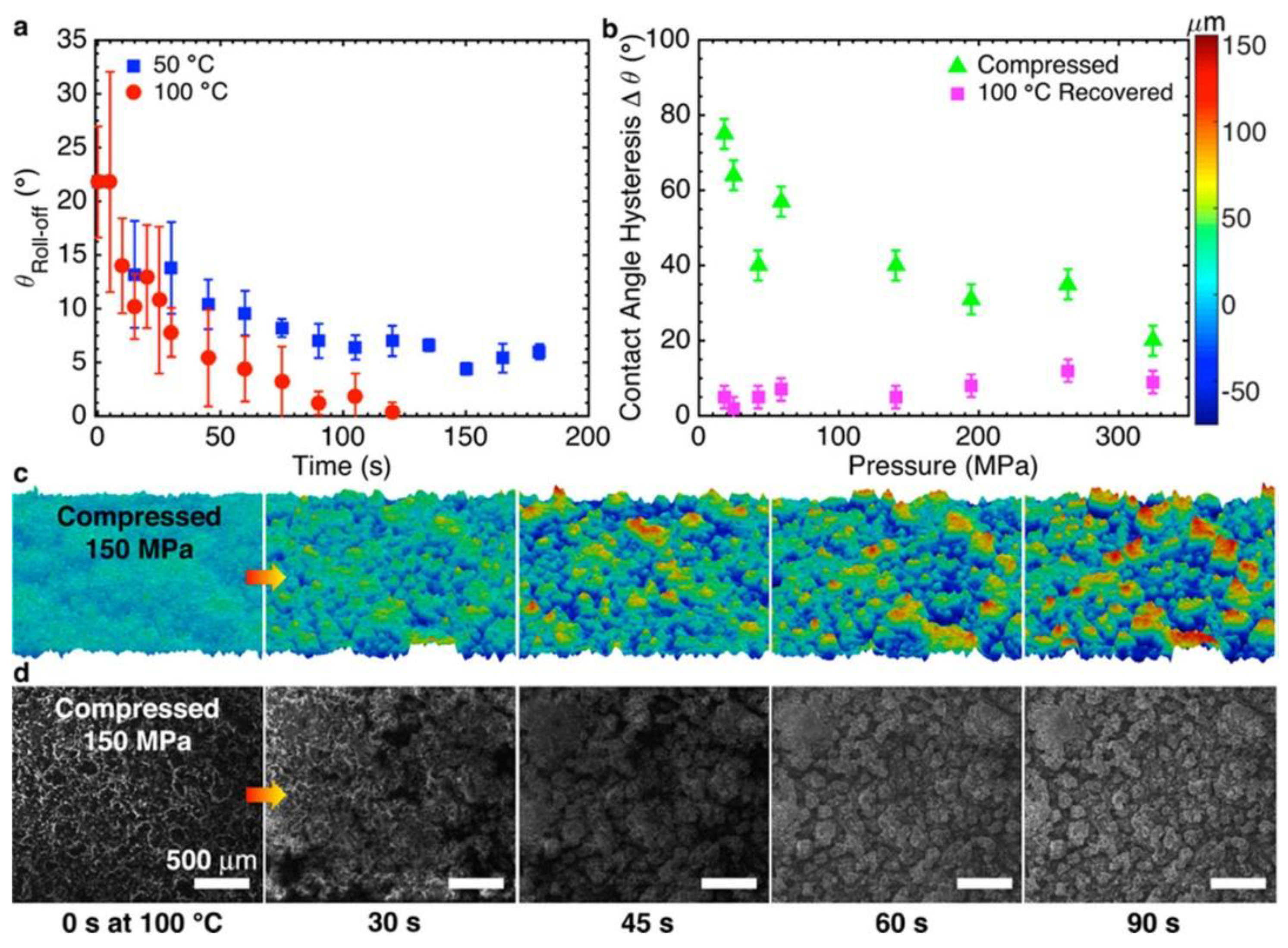 Polymers 14 01869 g004