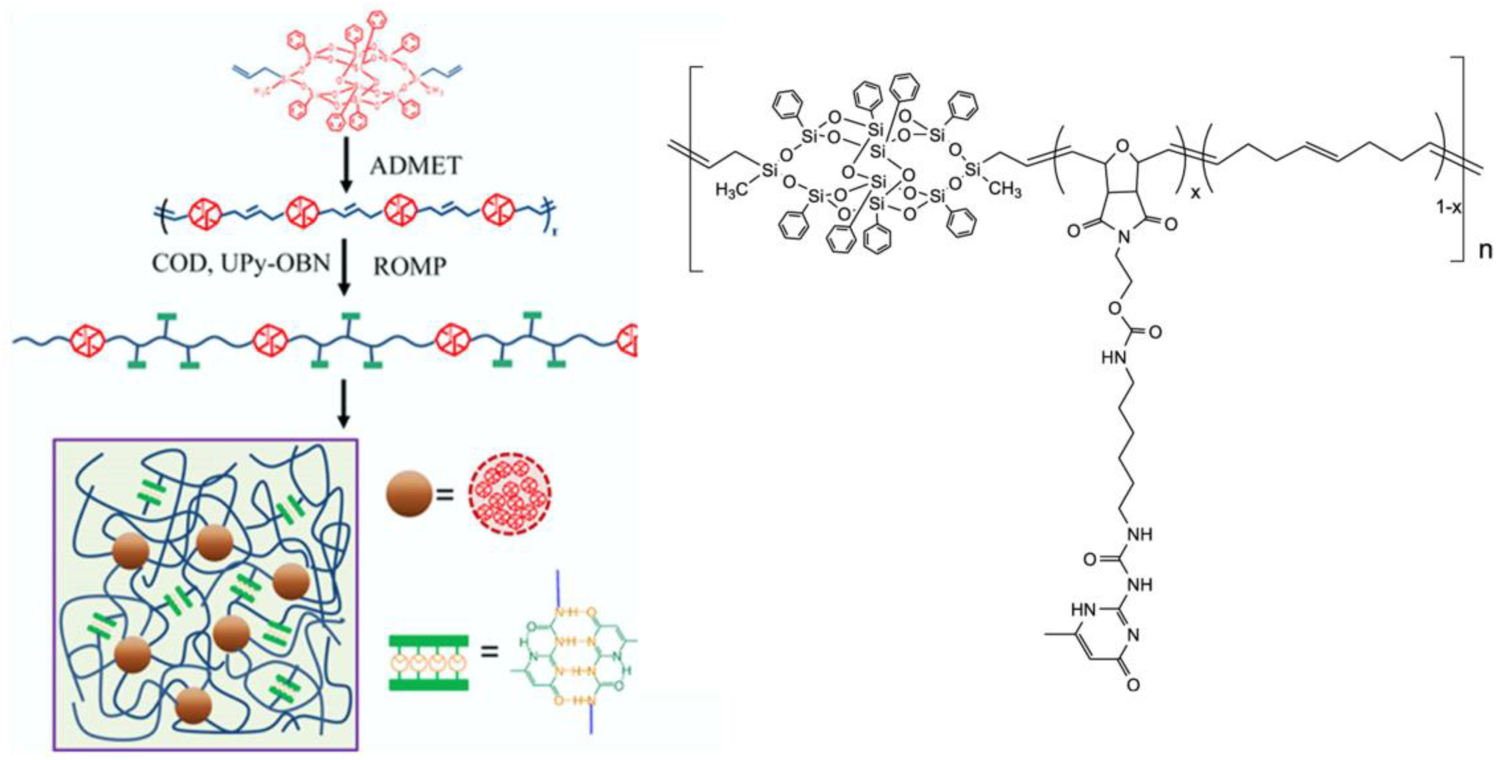 Polymers 14 01869 g006