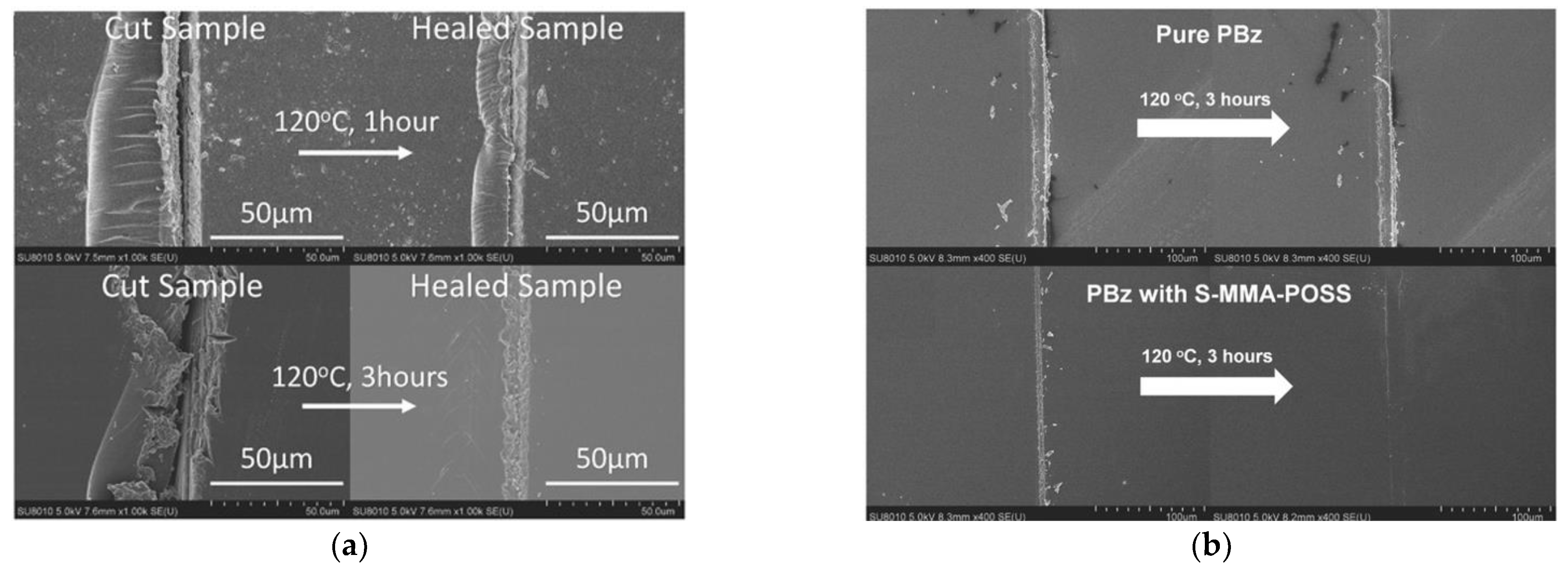 Polymers 14 01869 g025