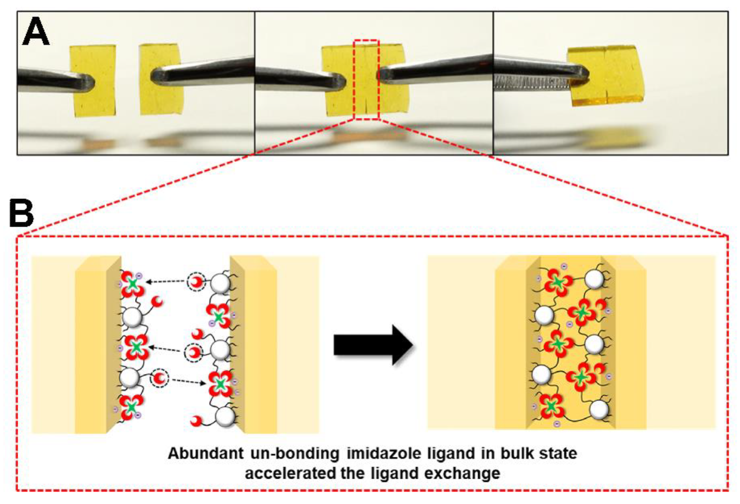 Polymers 14 01869 g029
