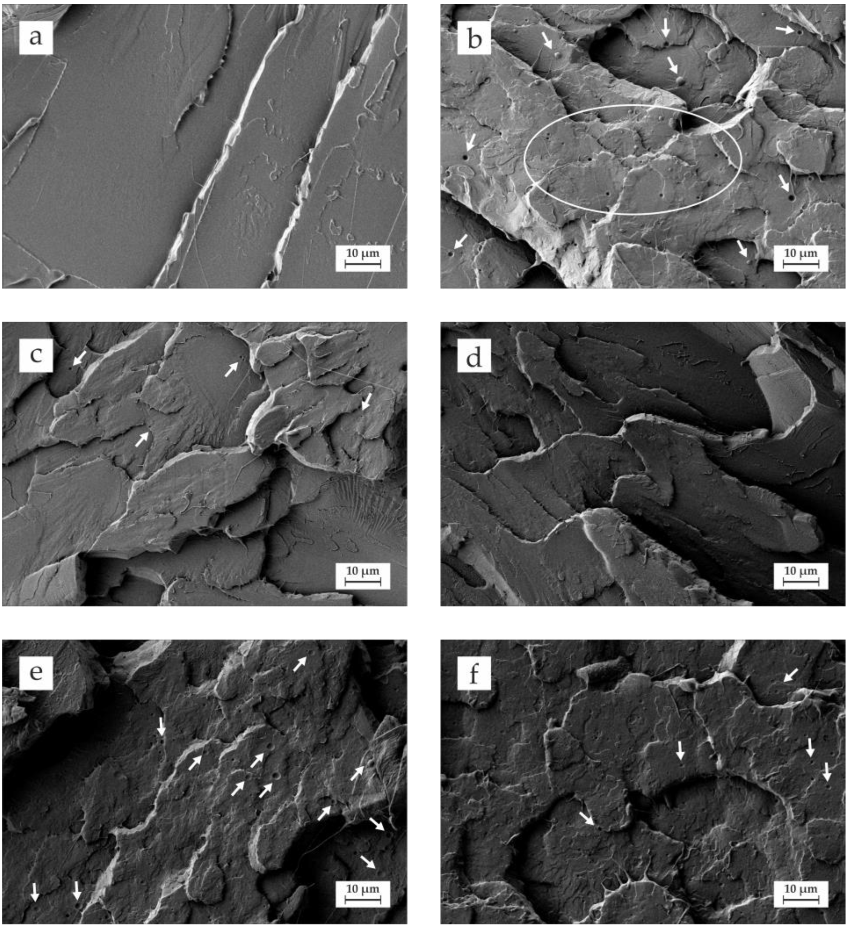 Polymers 14 01874 g003 Polymers 14 01874 g003