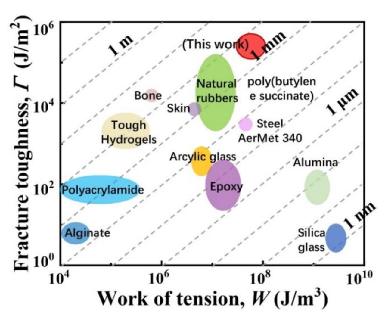 Polymers 14 01876 g007