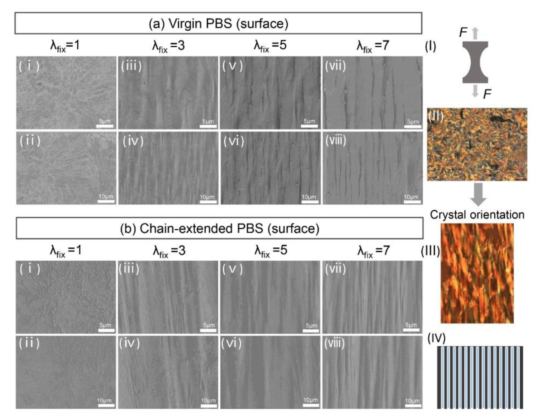 Polymers 14 01876 g009
