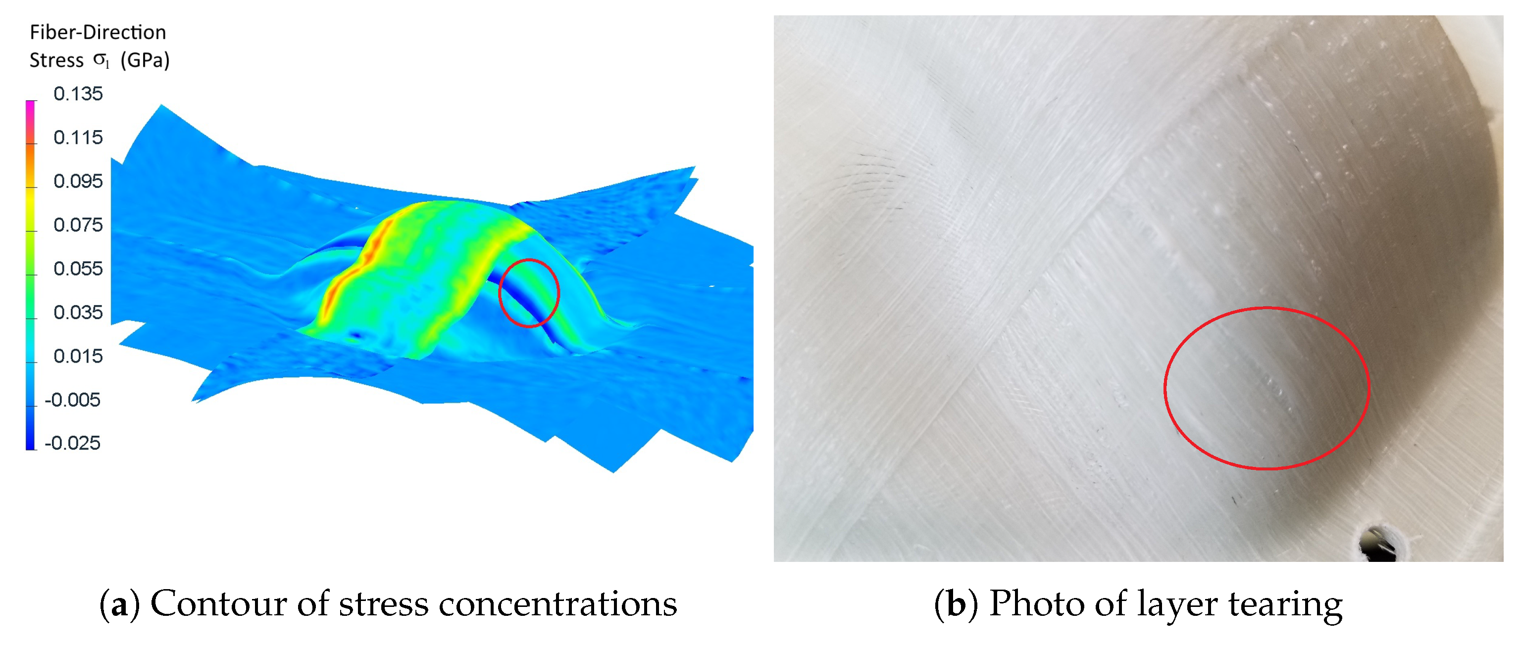 Polymers 14 01877 g013