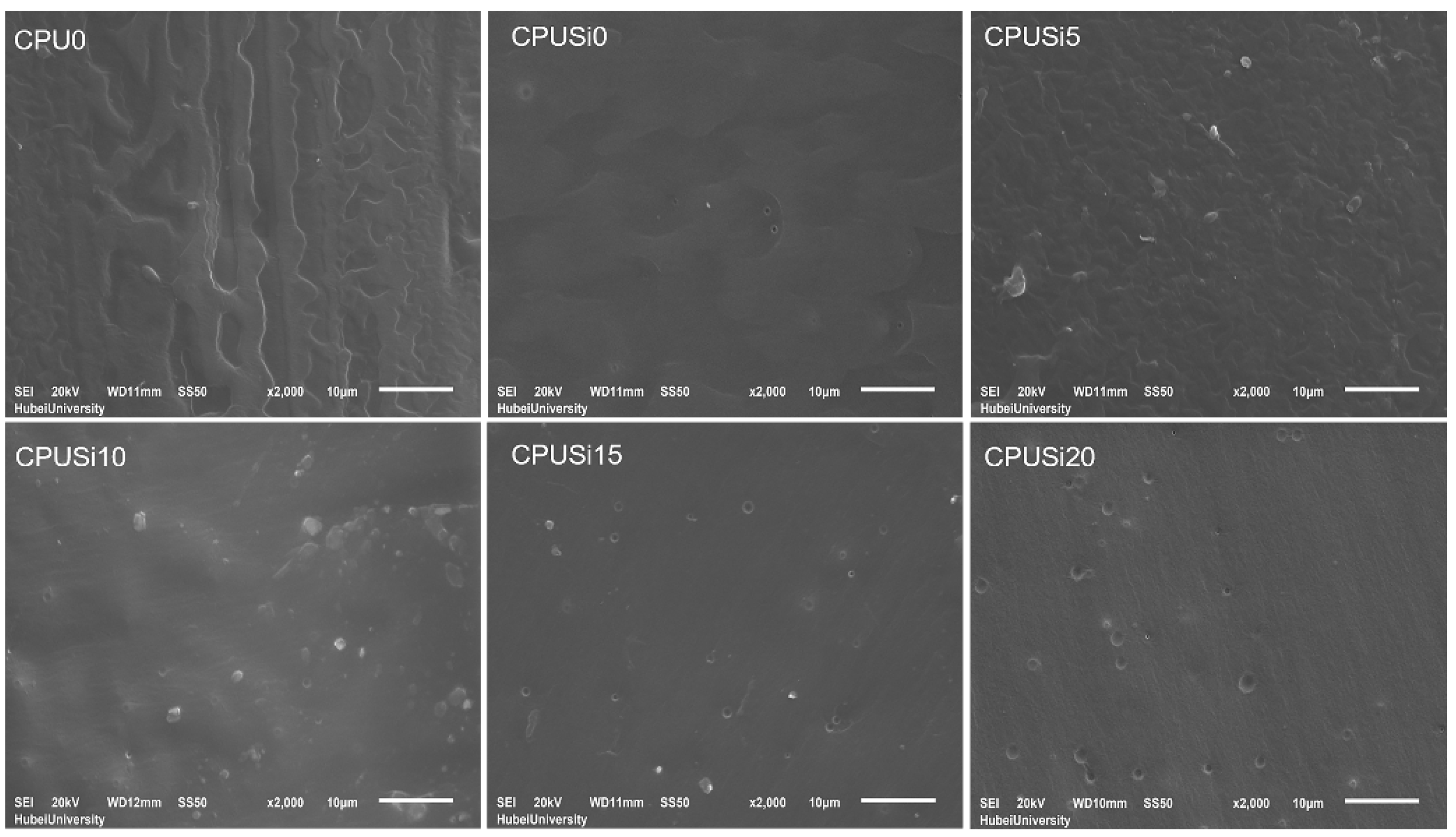 Polymers 14 01880 g005 550