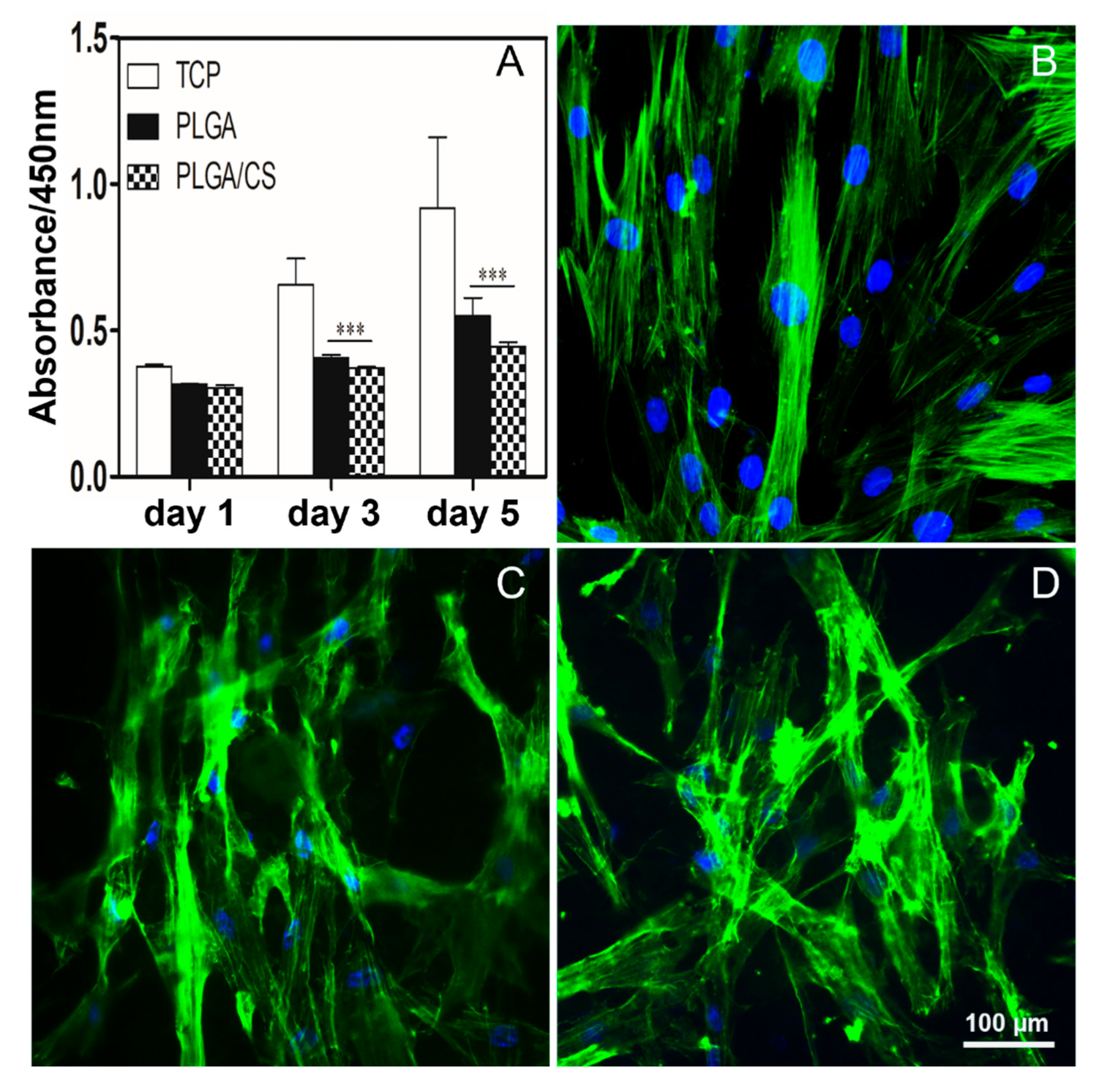 Polymers 14 01882 g004