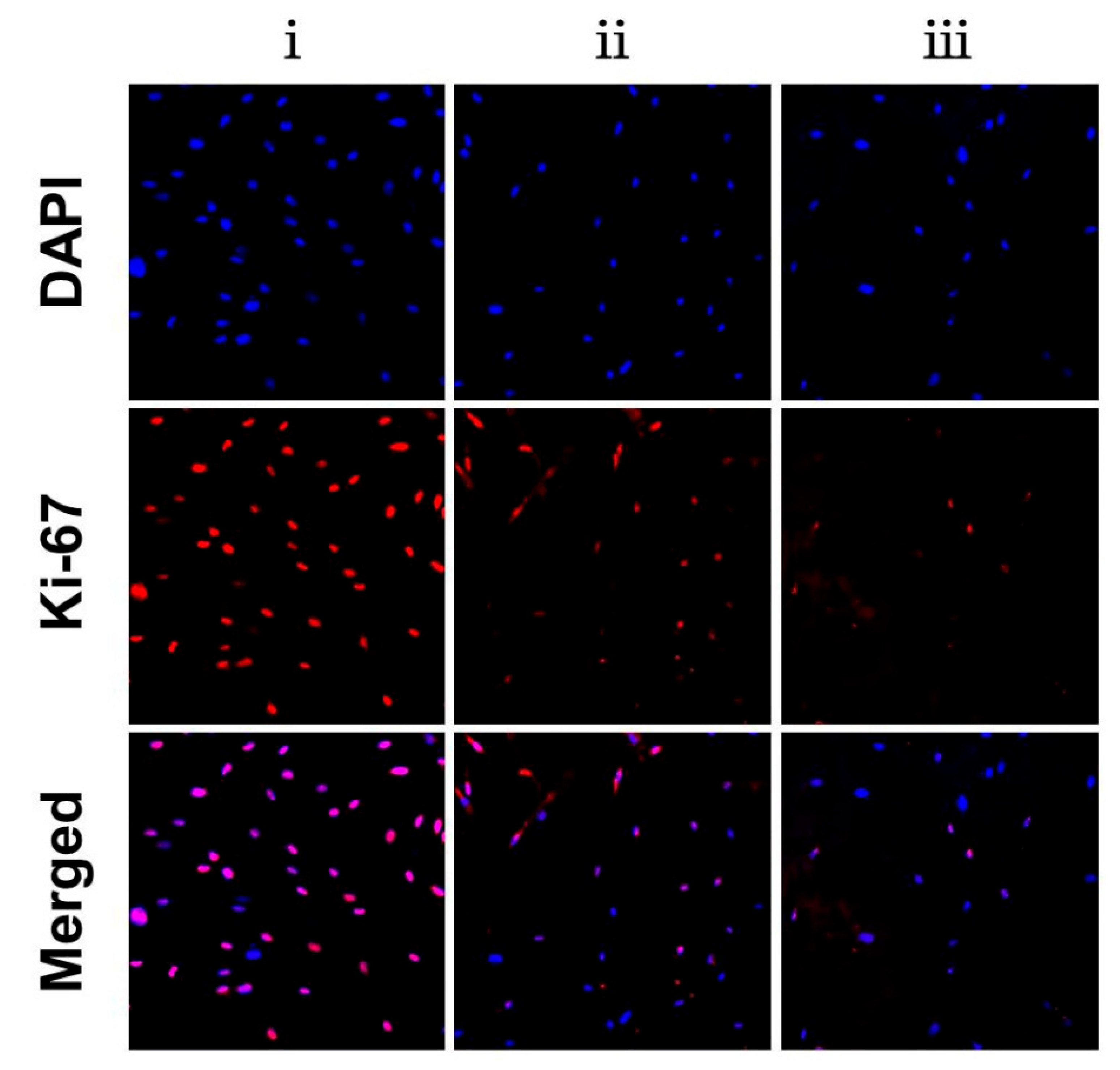 Polymers 14 01882 g005