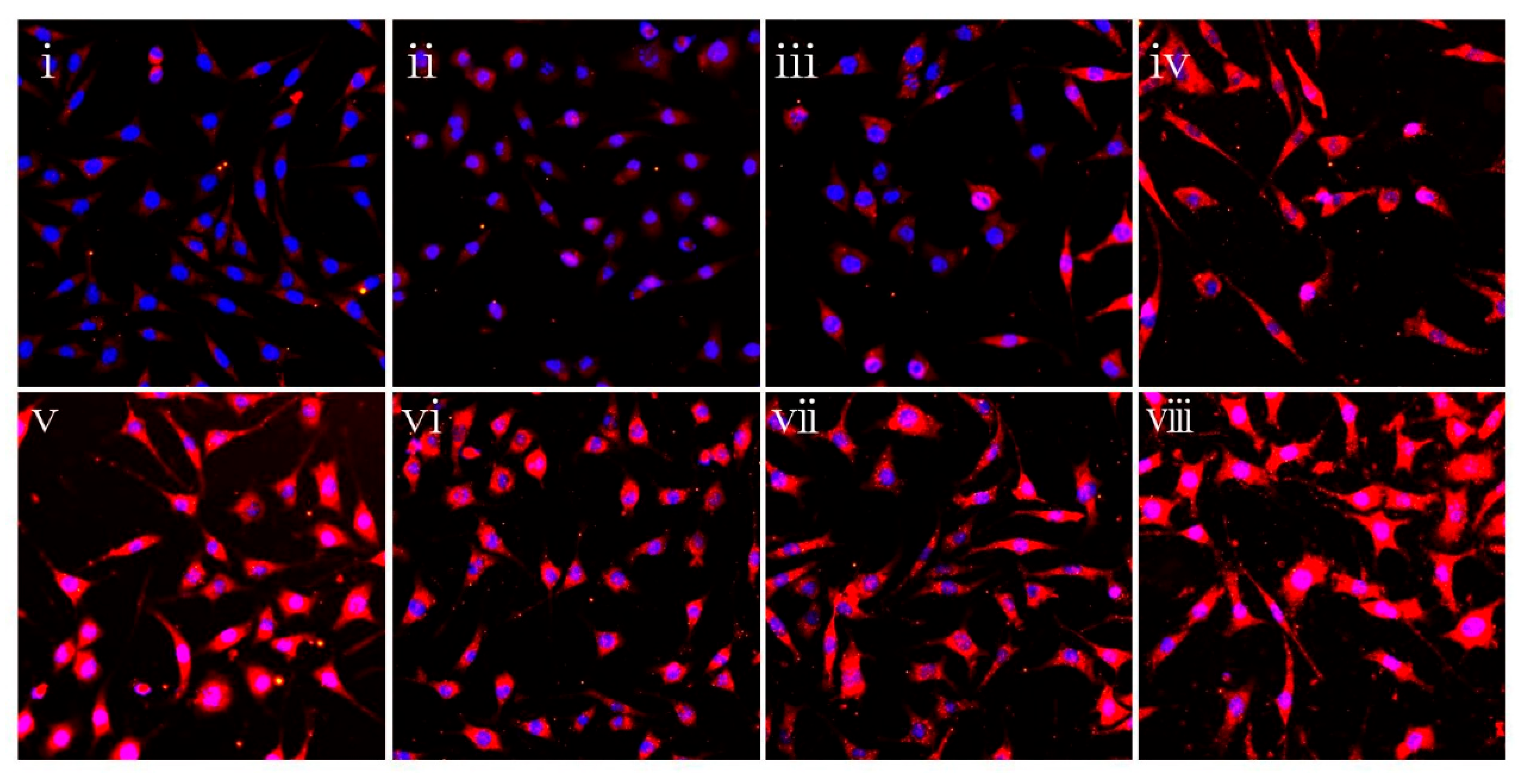 Polymers 14 01882 g007