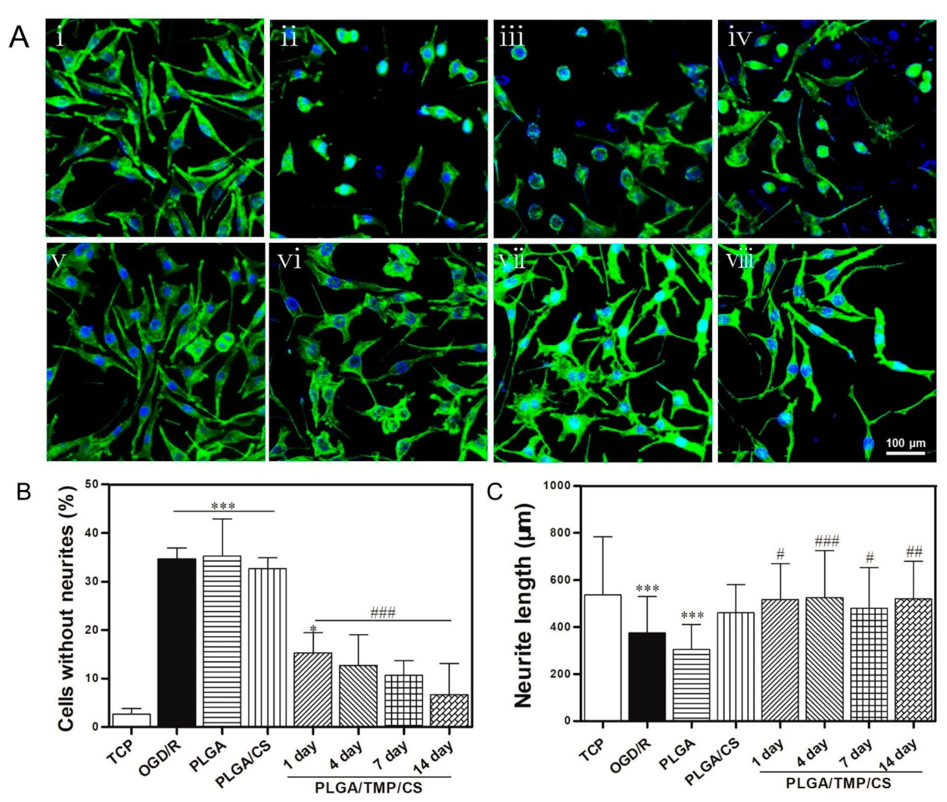 Polymers 14 01882 g008