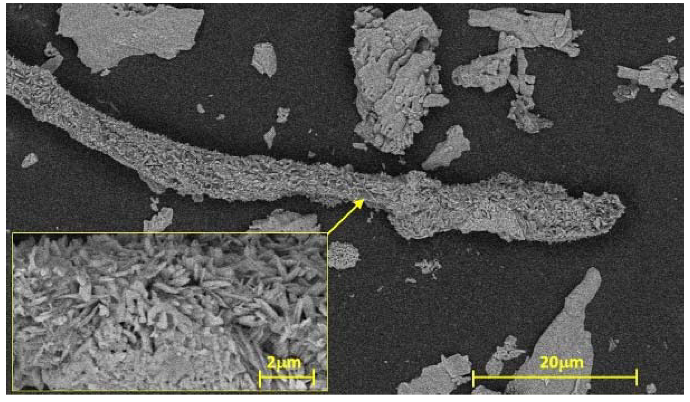 Polymers 14 01887 g001