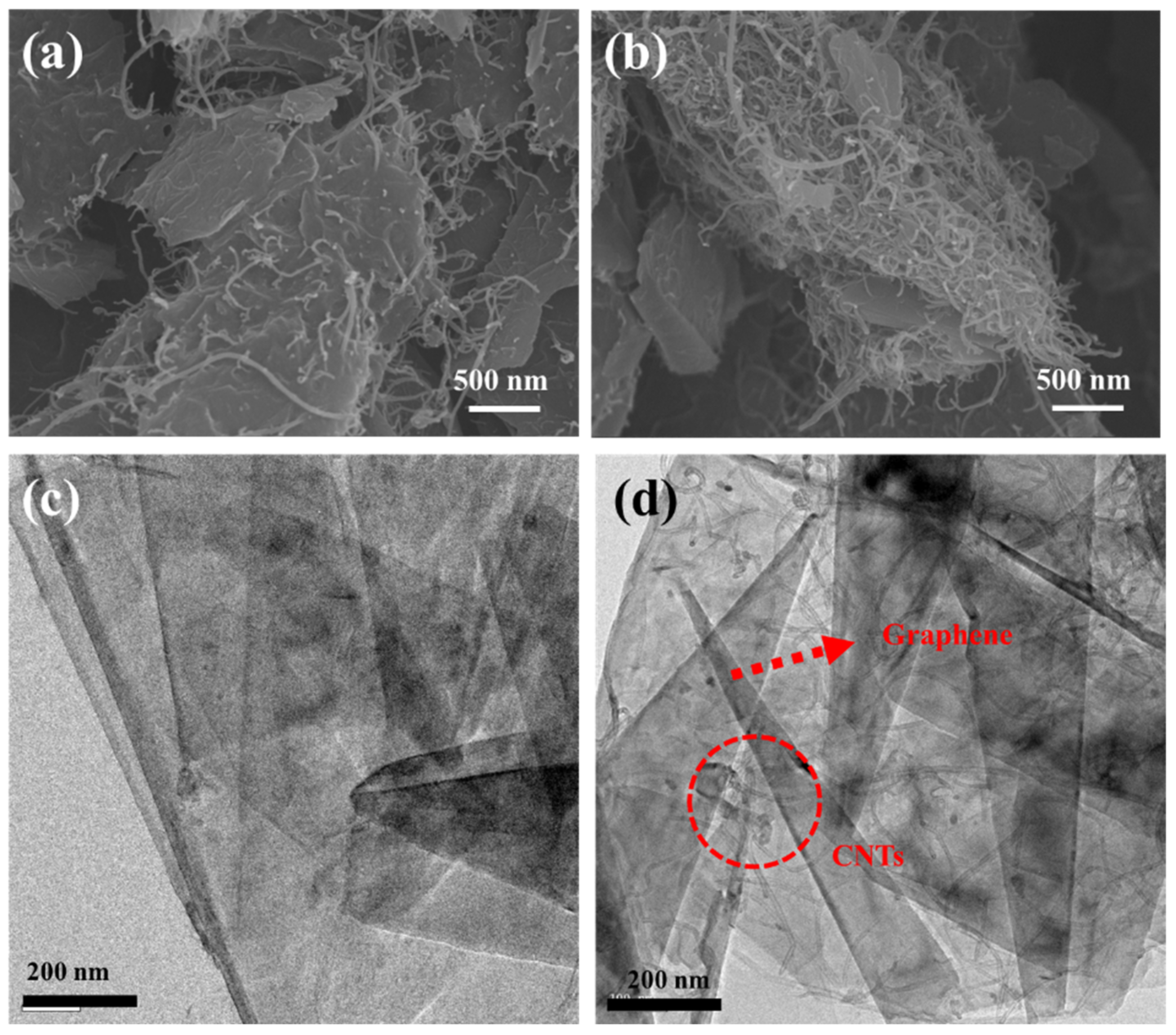 Polymers 14 01892 g002