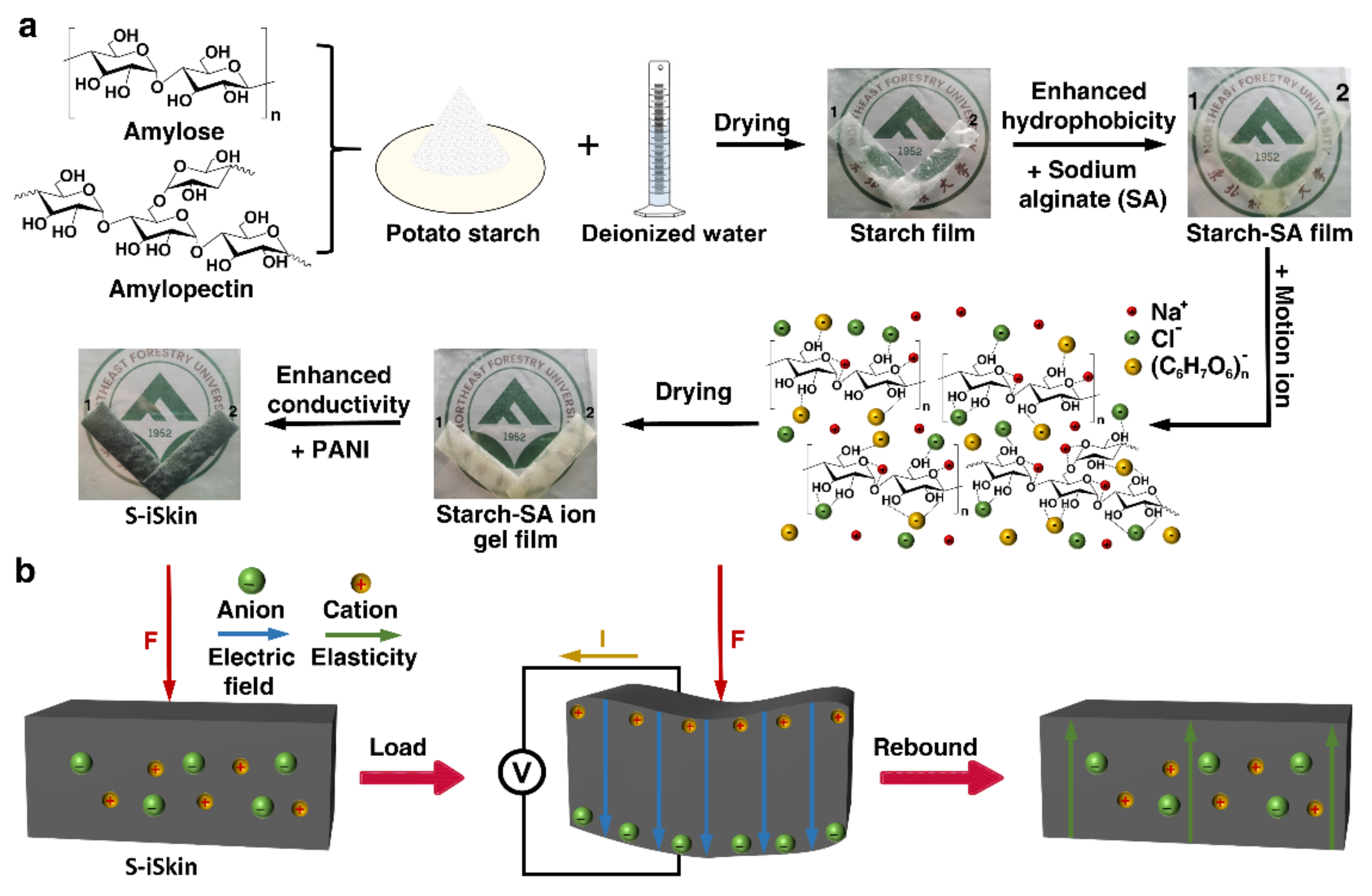 Polymers 14 01902 g001