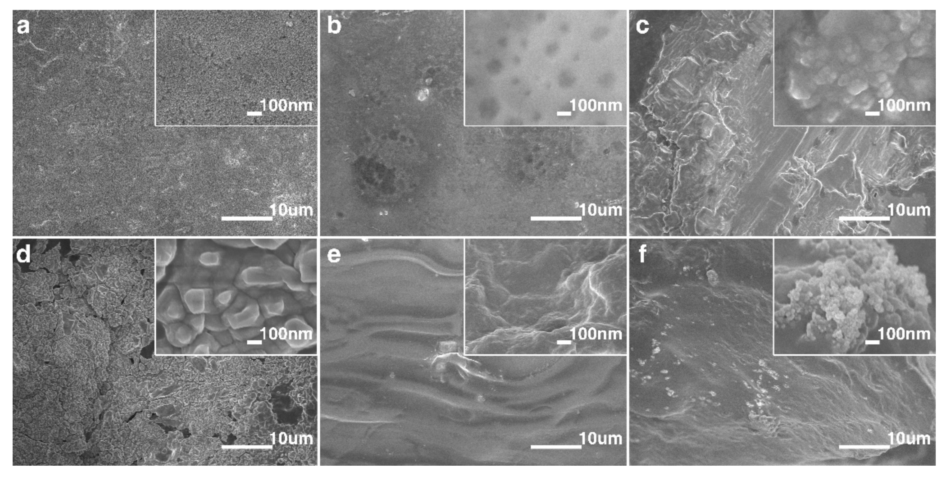 Polymers 14 01902 g002