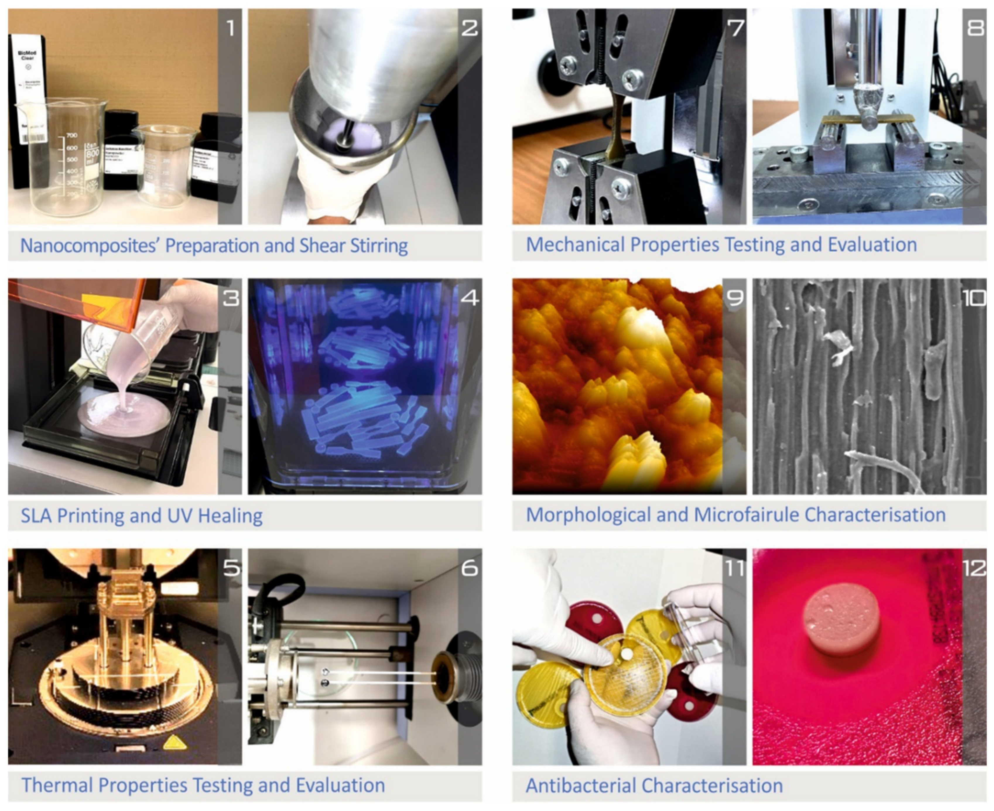 Polymers 14 01903 g001