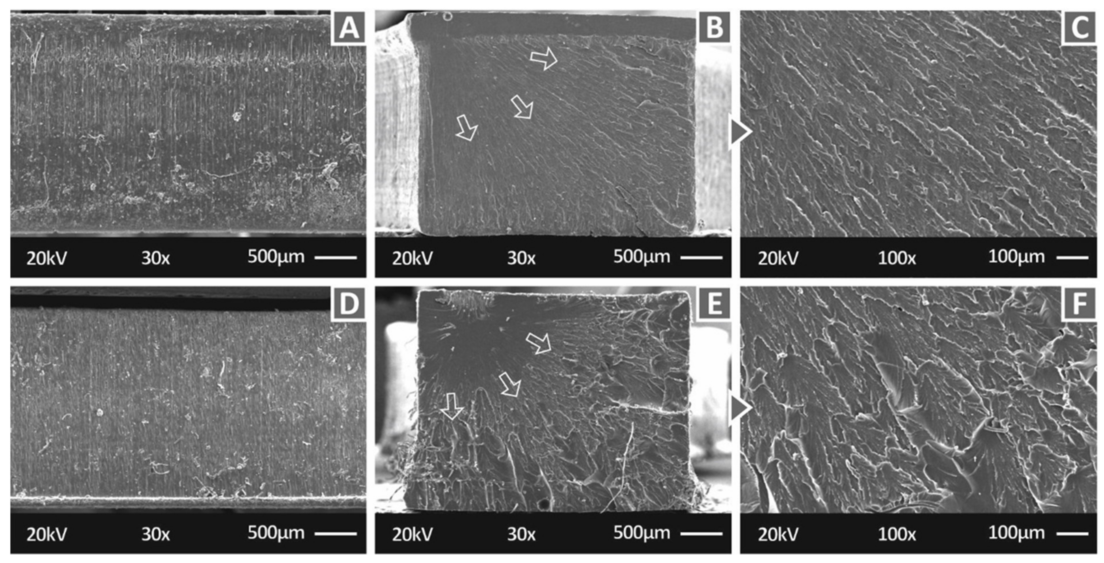 Polymers 14 01903 g005