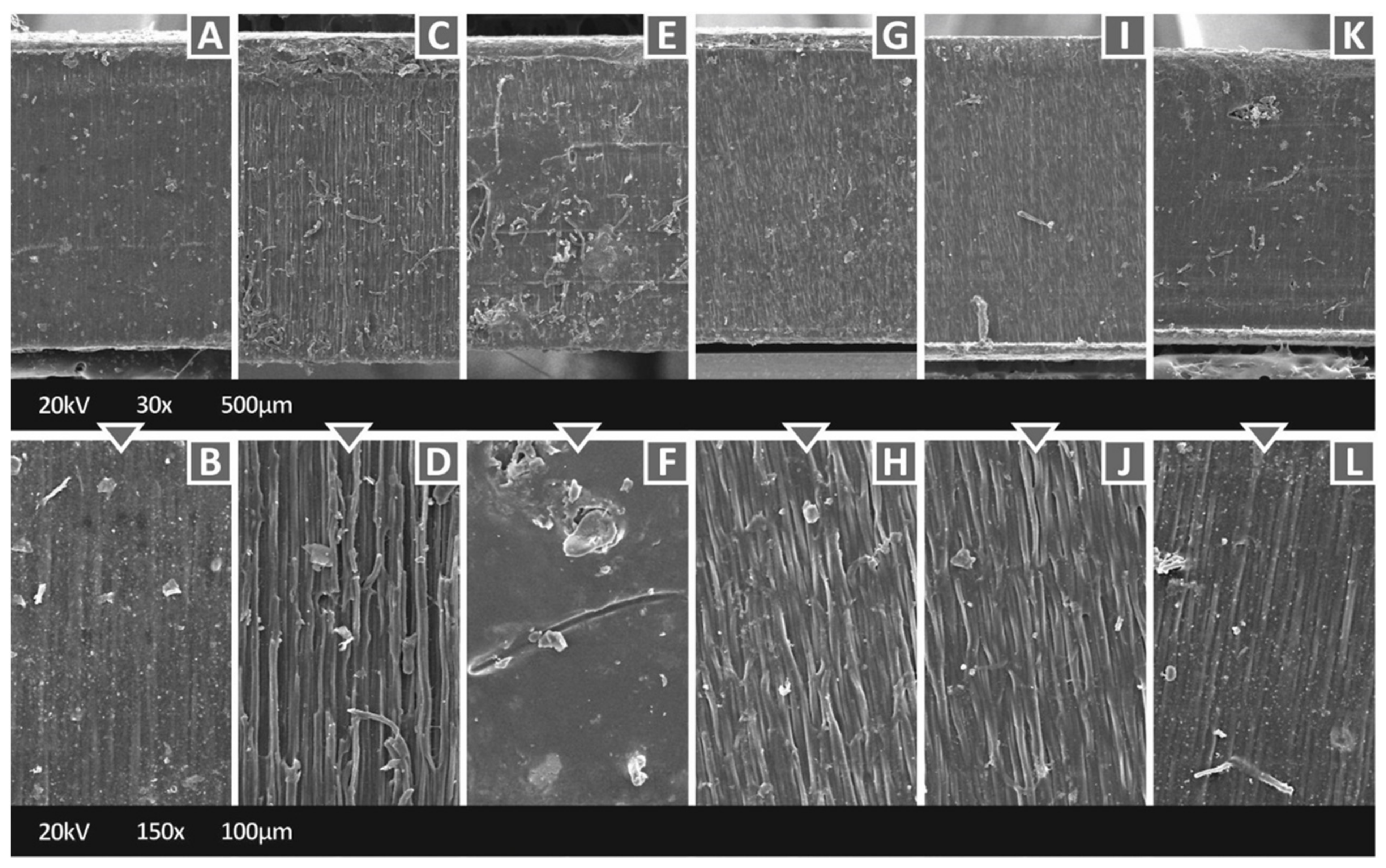 Polymers 14 01903 g006