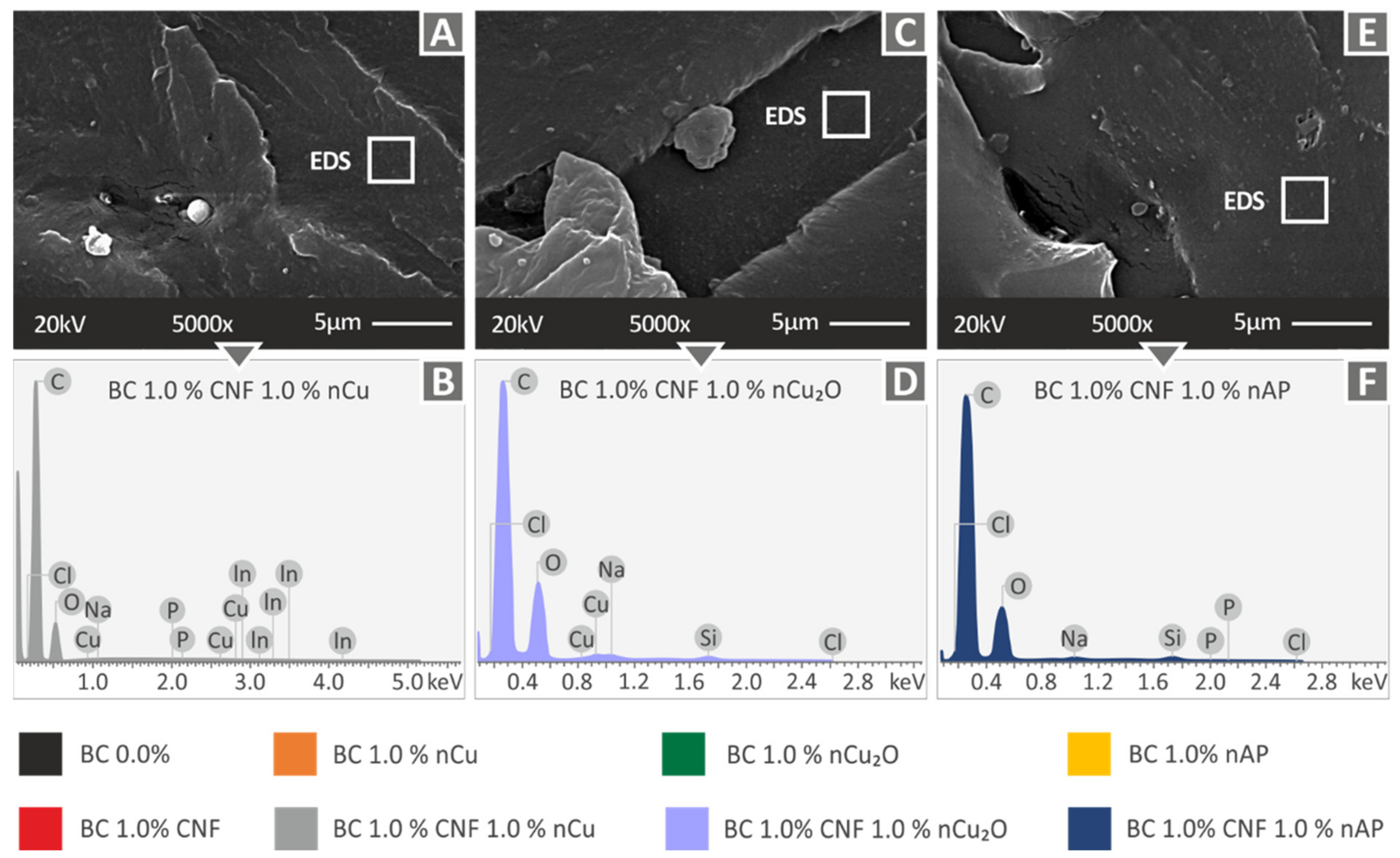 Polymers 14 01903 g008