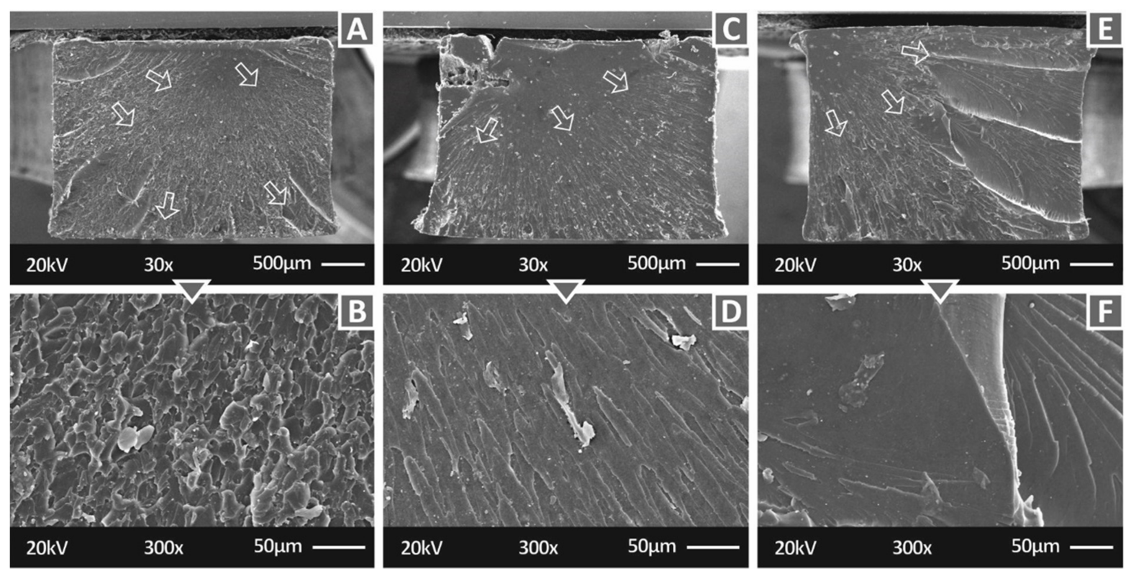 Polymers 14 01903 g009