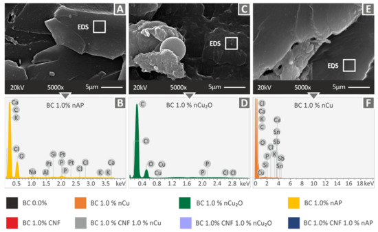 ああ SS11 (@SpringStudios11) / Posts / X