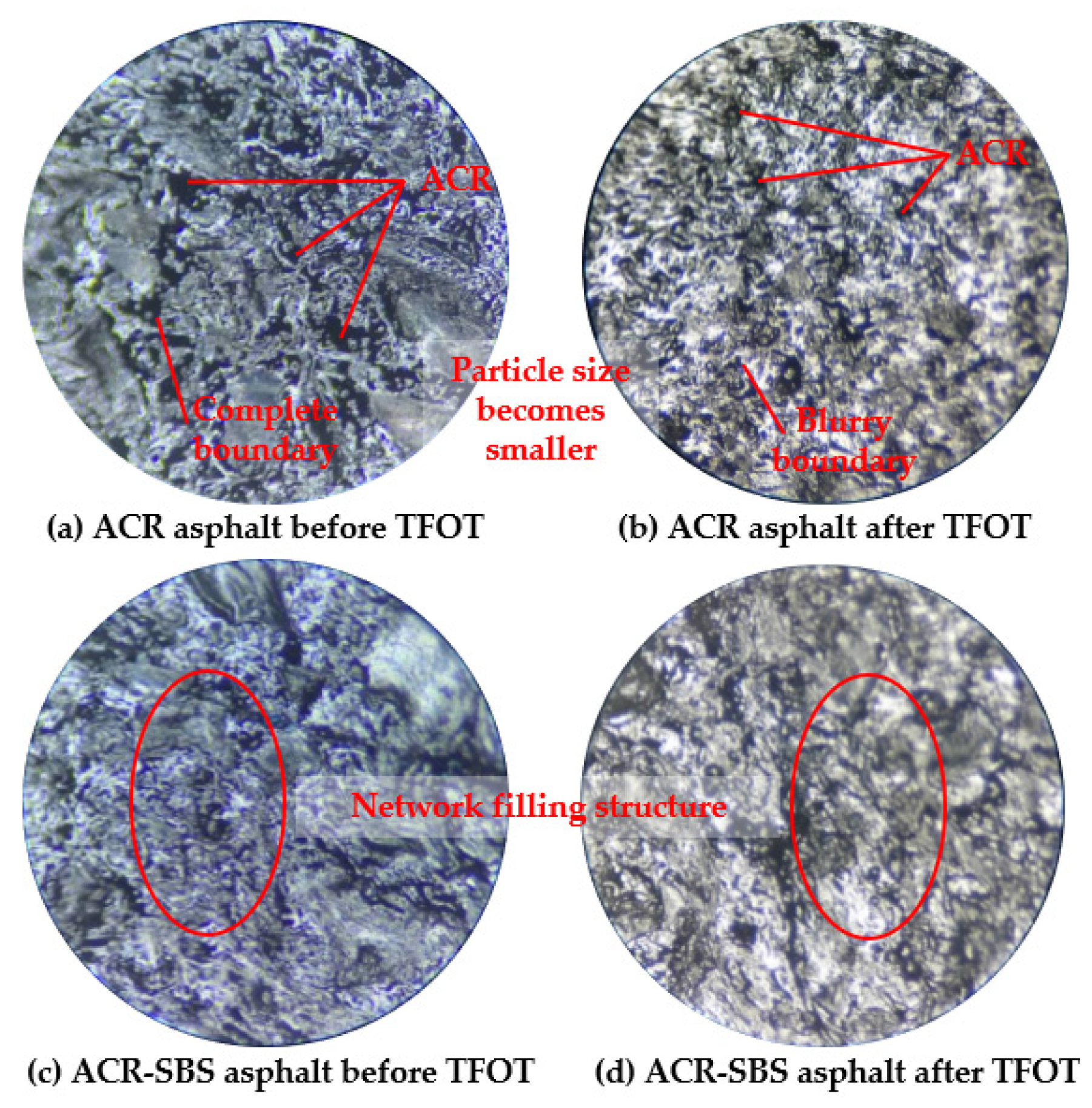 Polymers 14 01905 g011 550