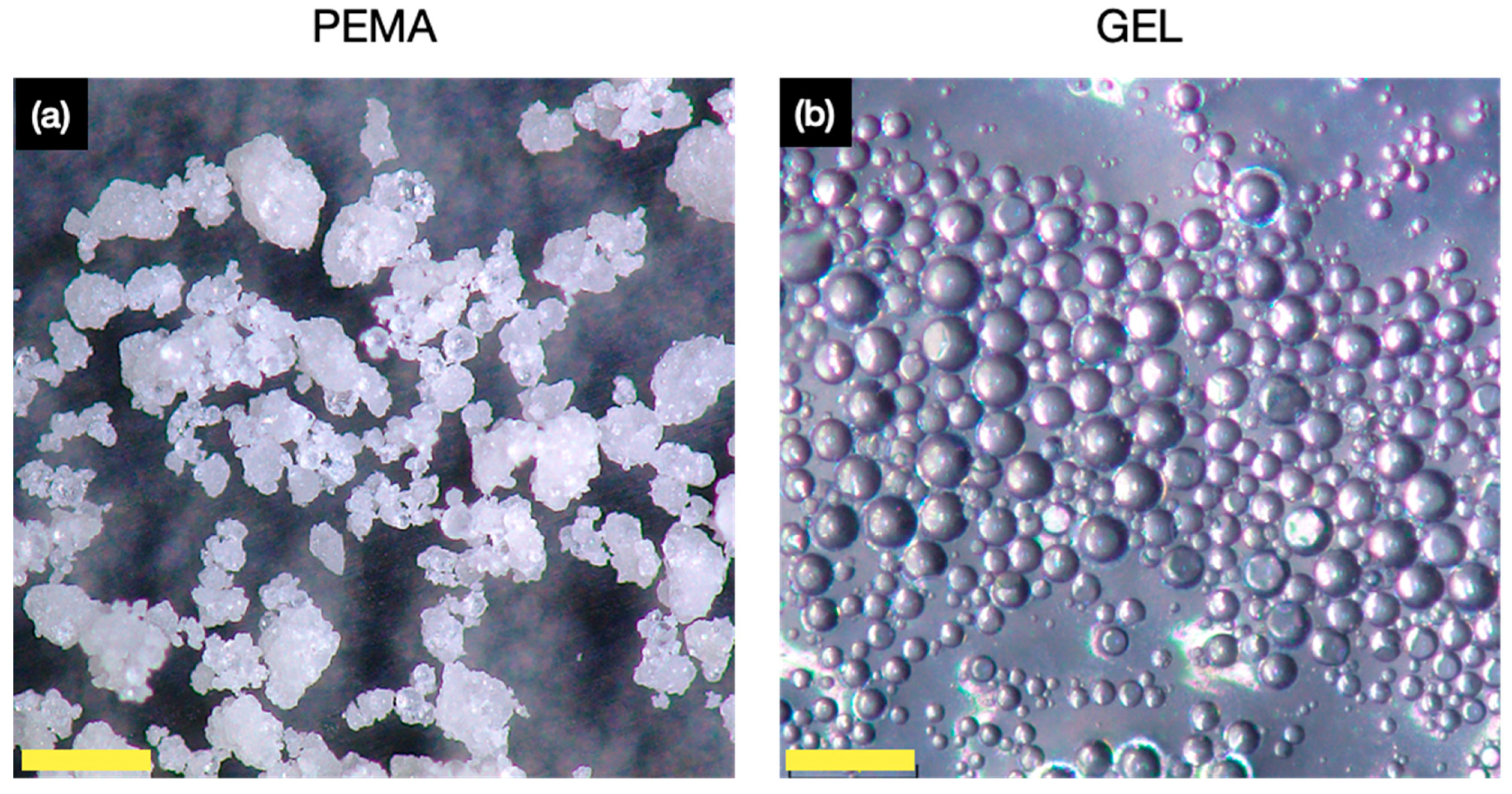Polymers 14 01907 g004 550