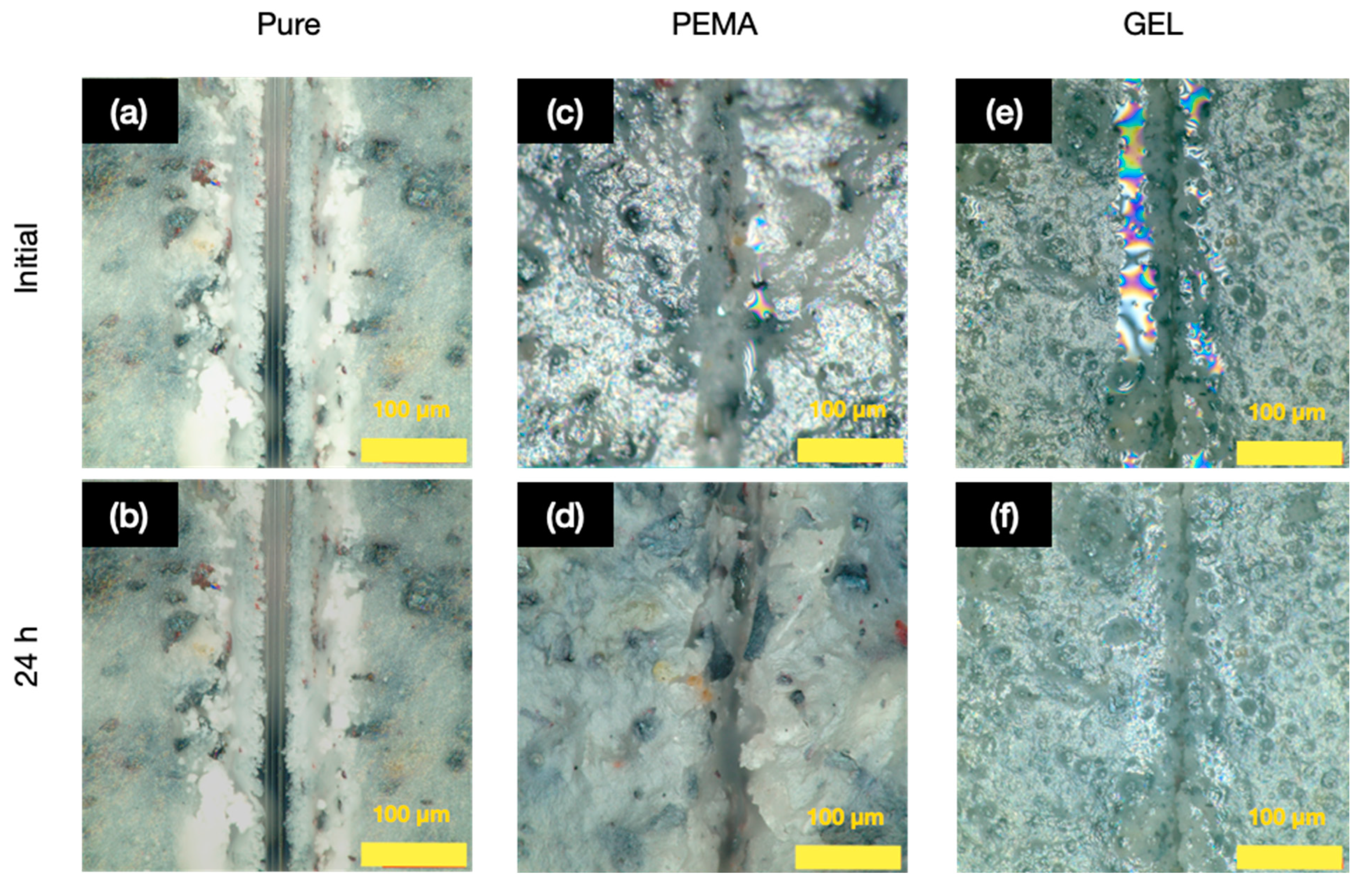 Polymers 14 01907 g011 550