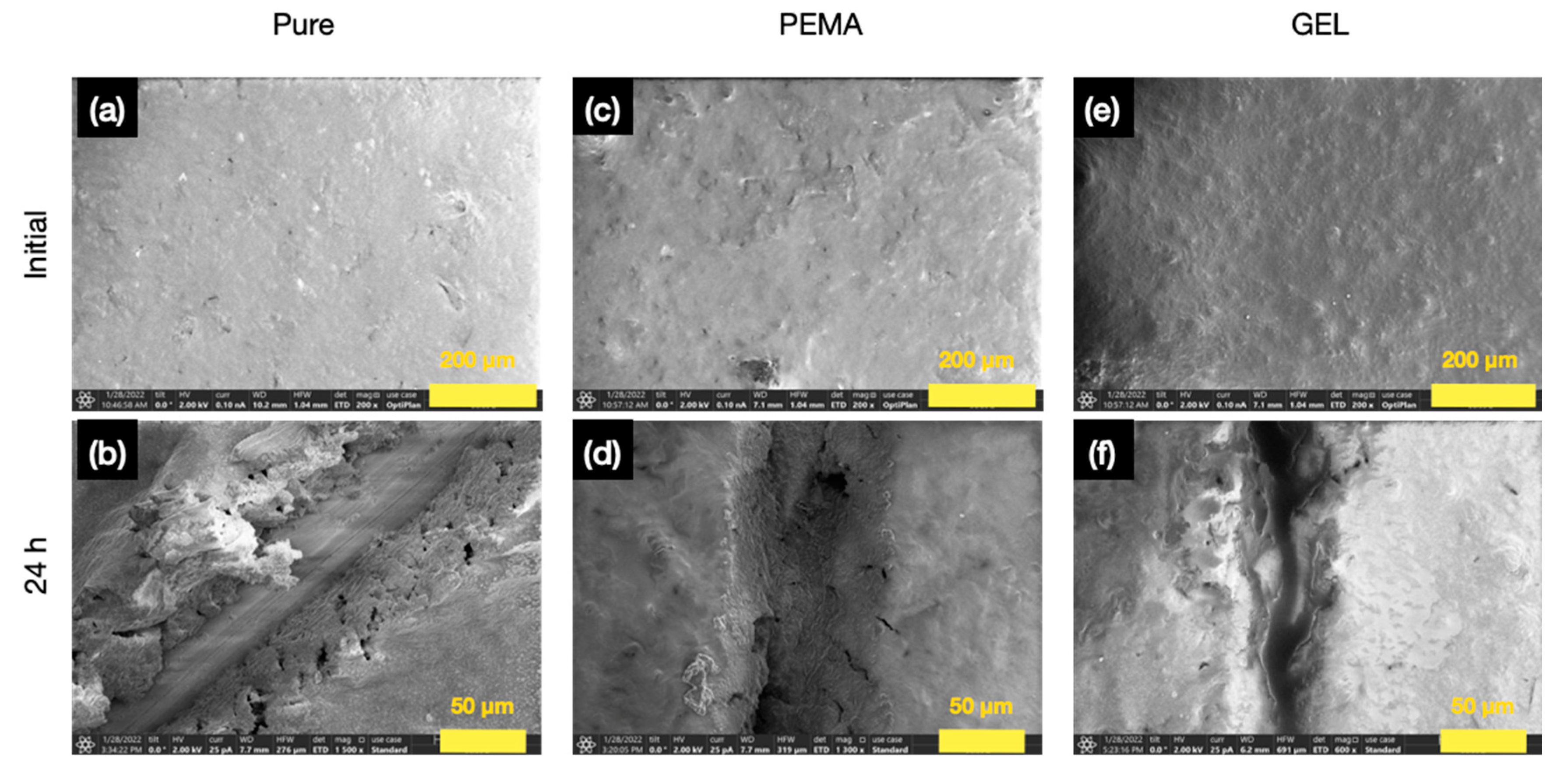Polymers 14 01907 g012 550