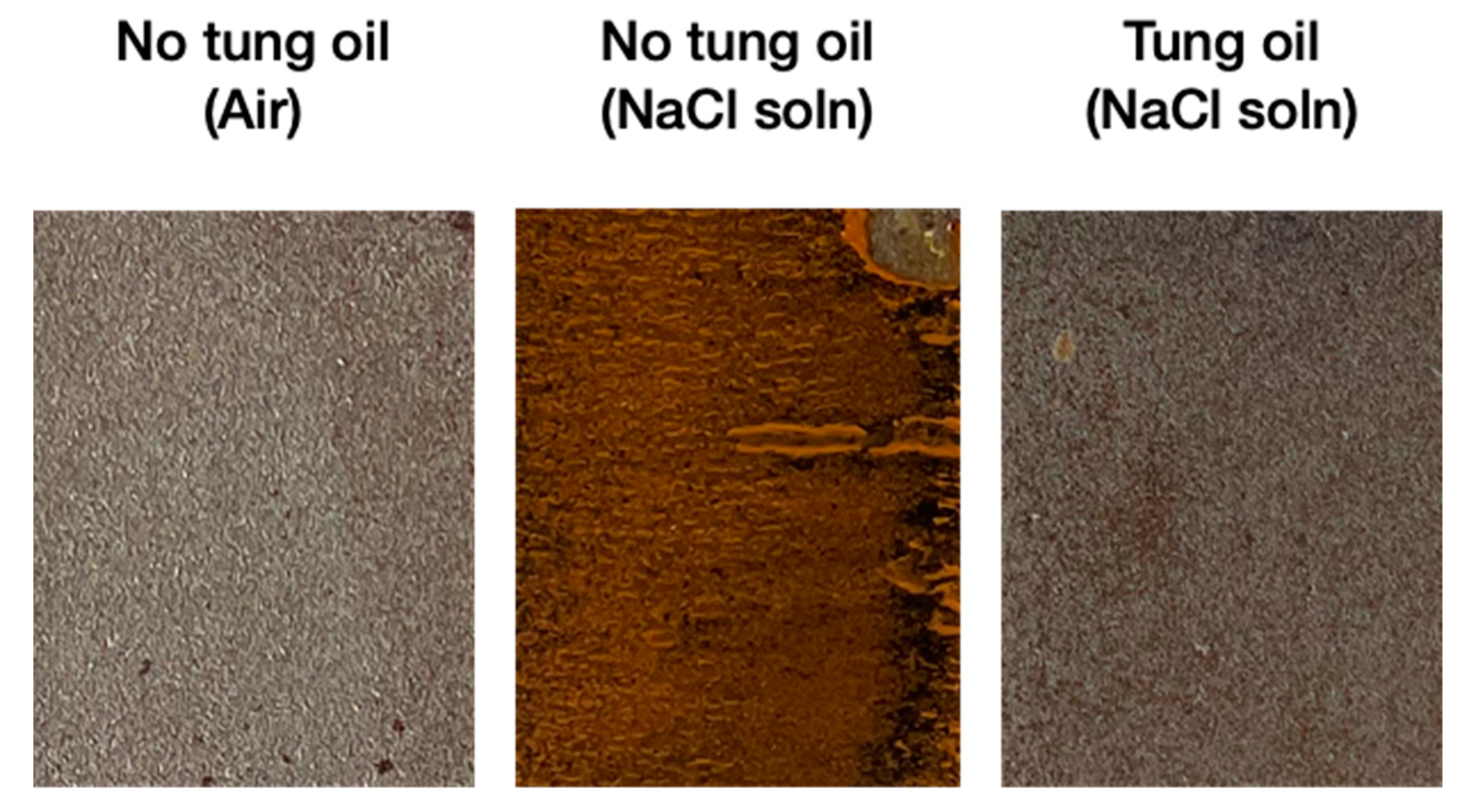 Polymers 14 01907 g014 550
