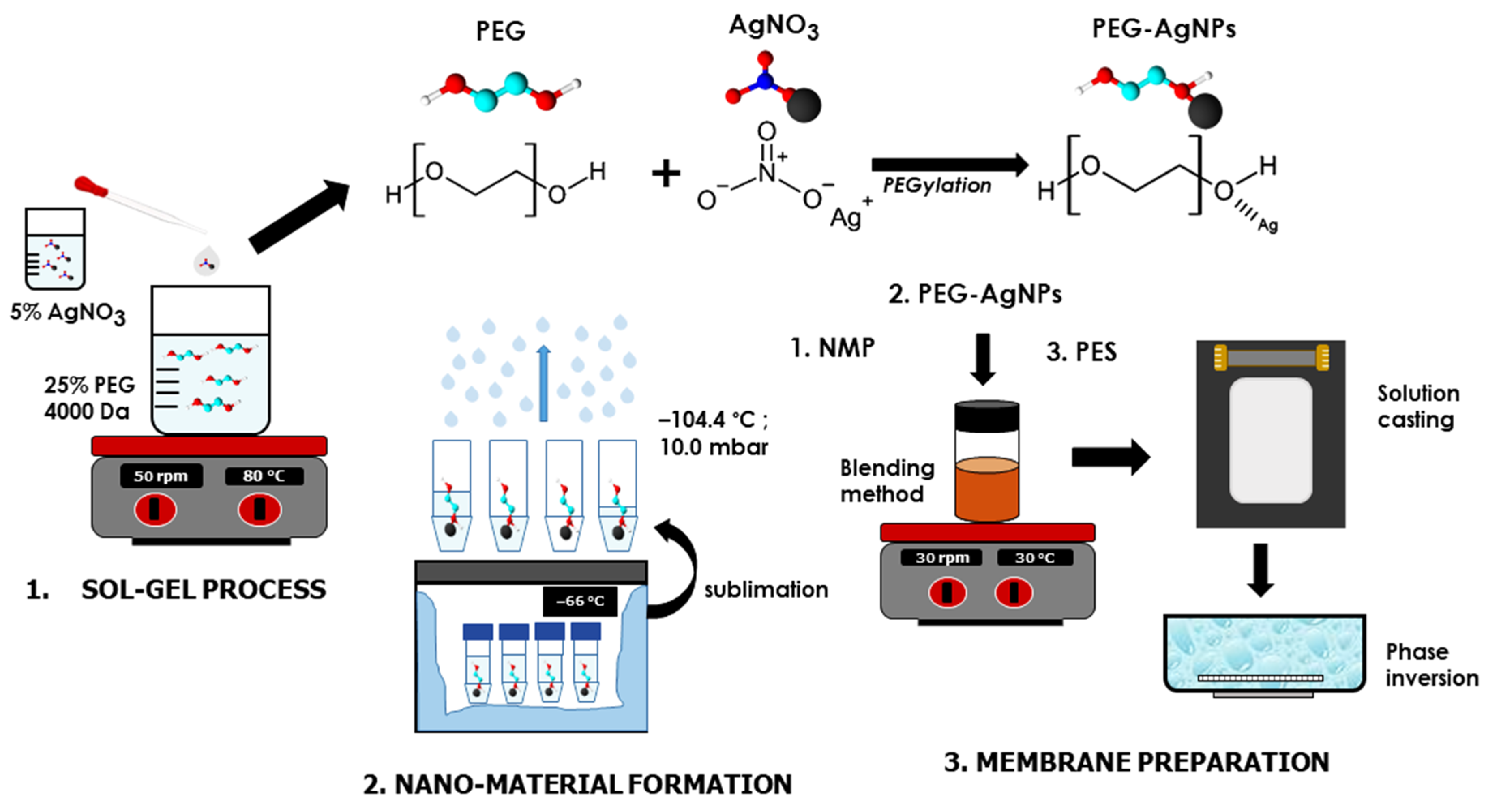 Polymers 14 01908 g001 550