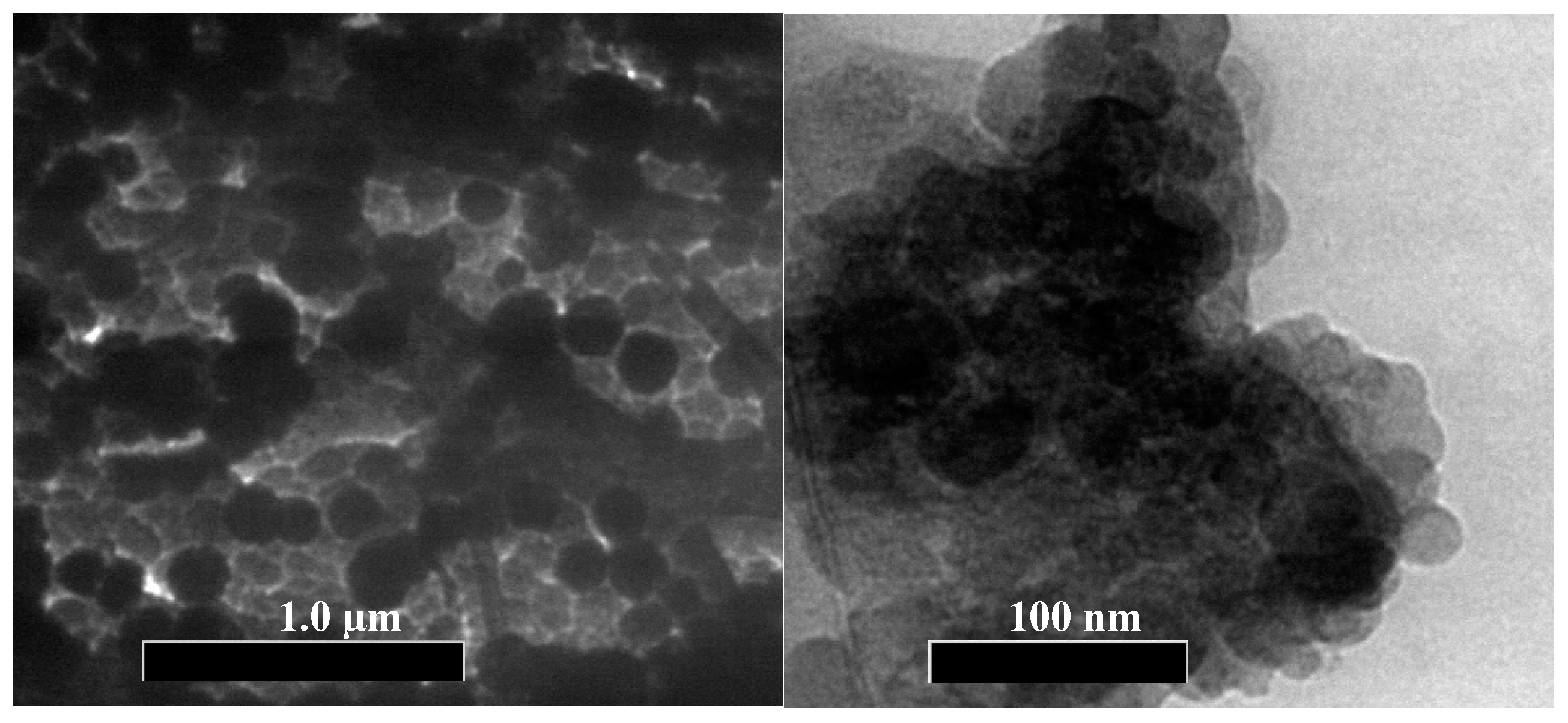 Polymers 14 01908 g002 550