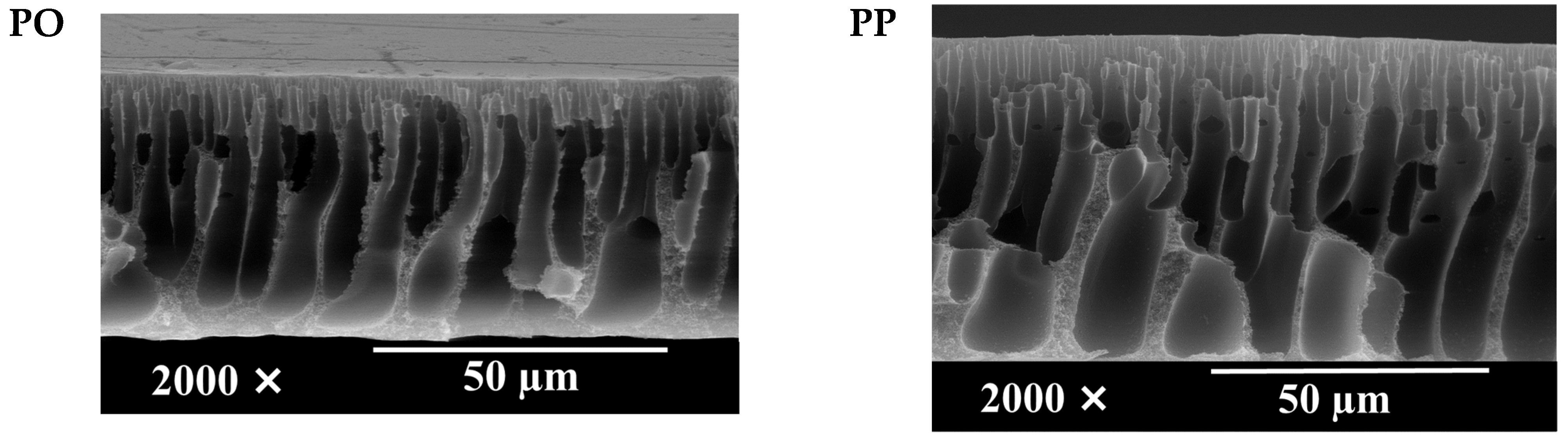 Polymers 14 01908 g006a 550