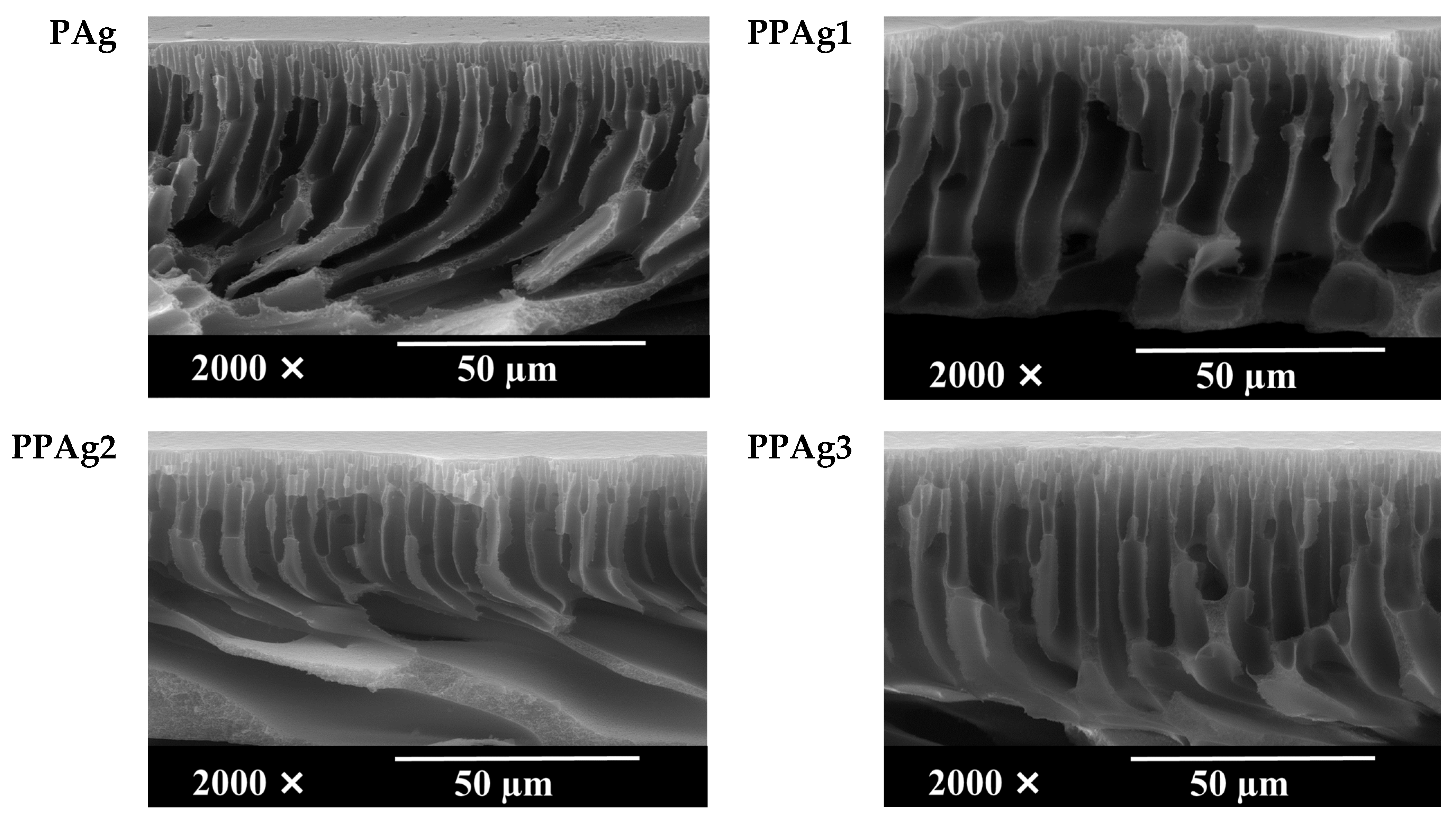 Polymers 14 01908 g006b 550