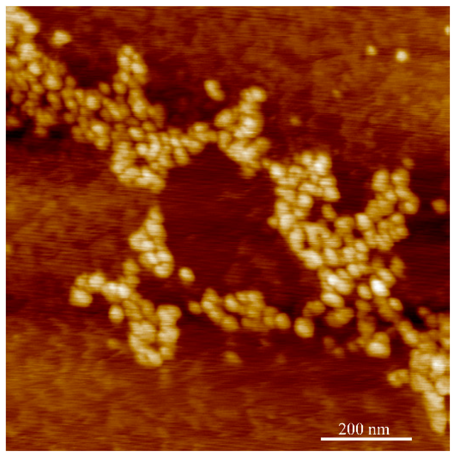 Polymers 14 01909 g006 550