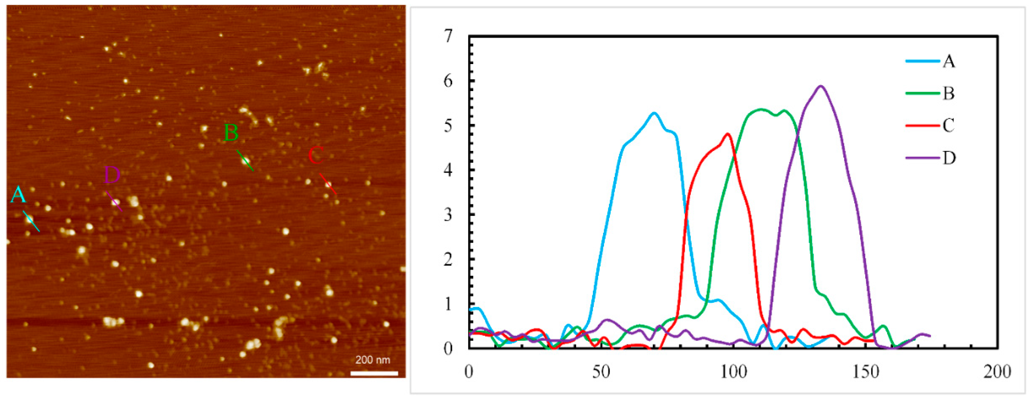 Polymers 14 01909 g007 550