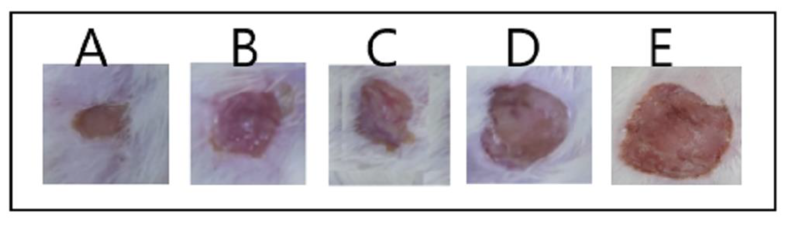 Polymers 14 01912 g005 550