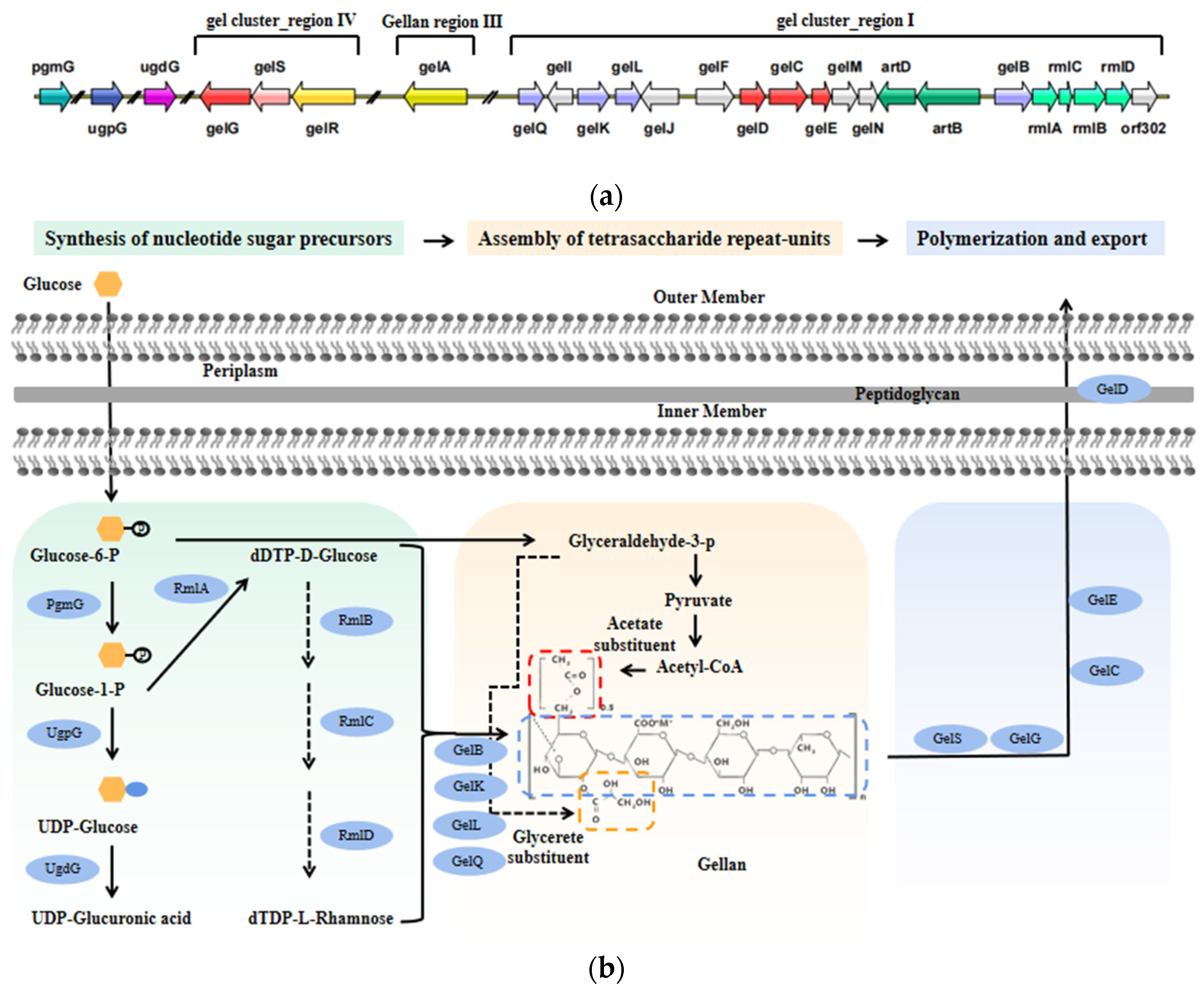 Polymers 14 01920 g001 Polymers 14 01920 g001