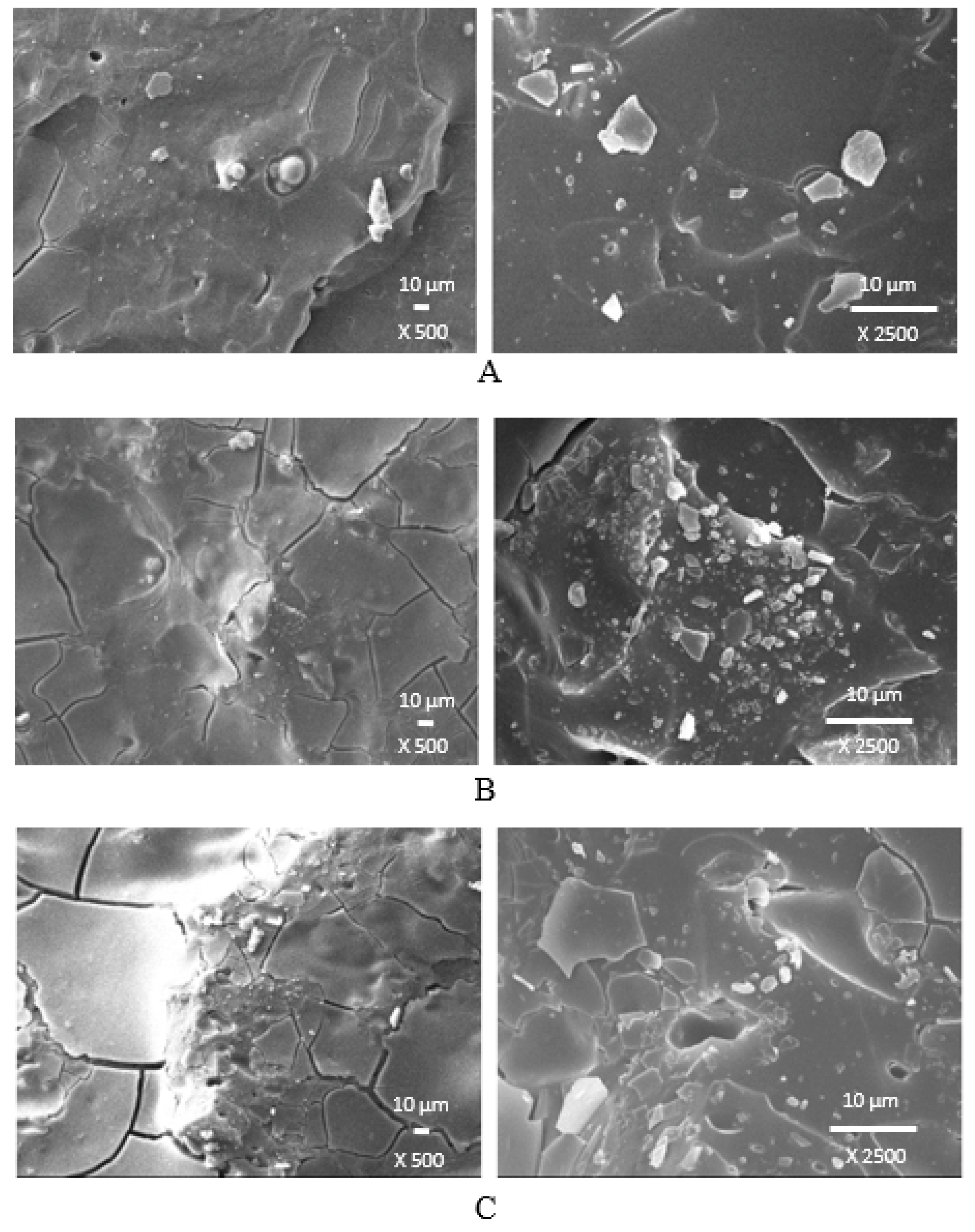 Polymers 14 01921 g016