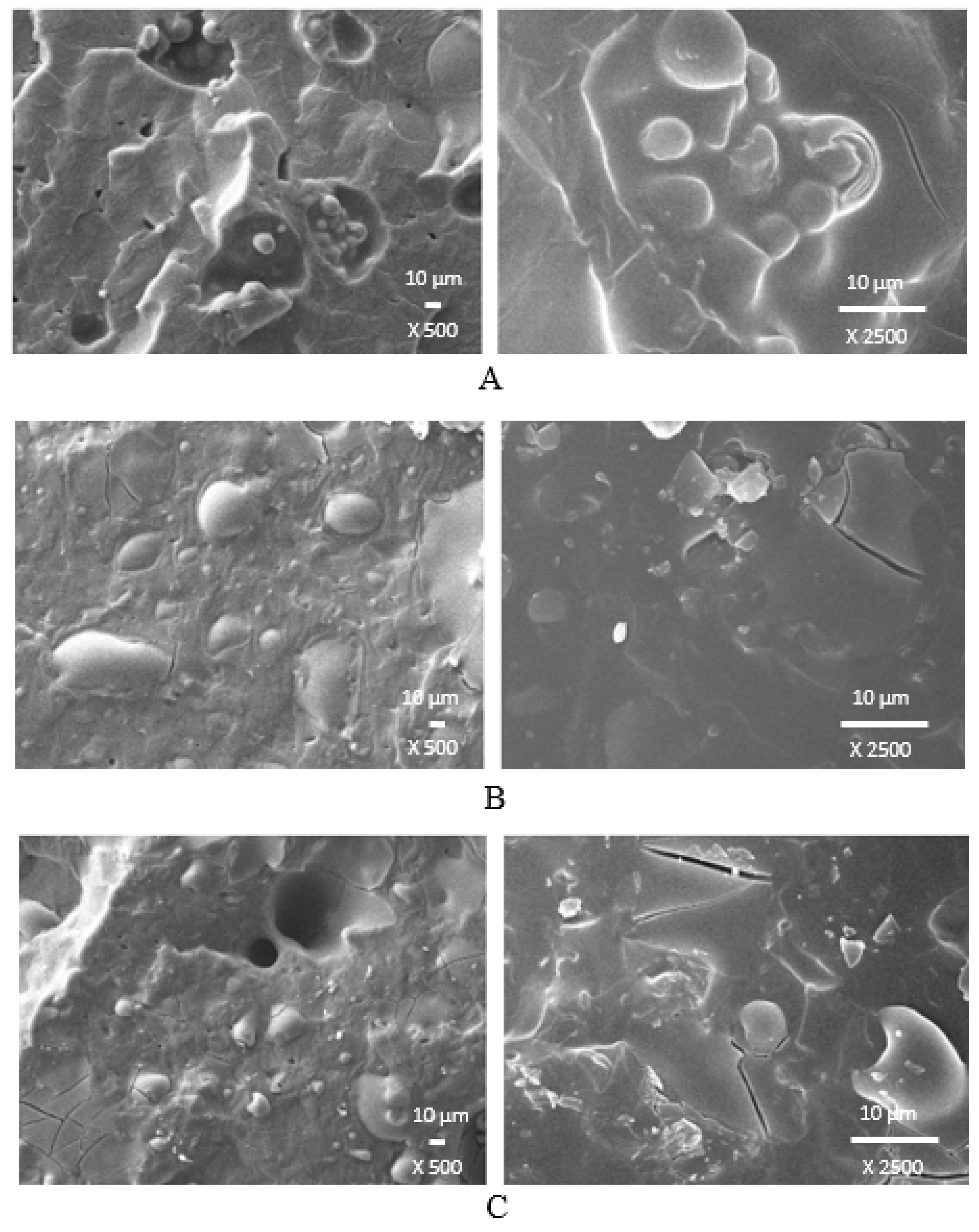 Polymers 14 01921 g017